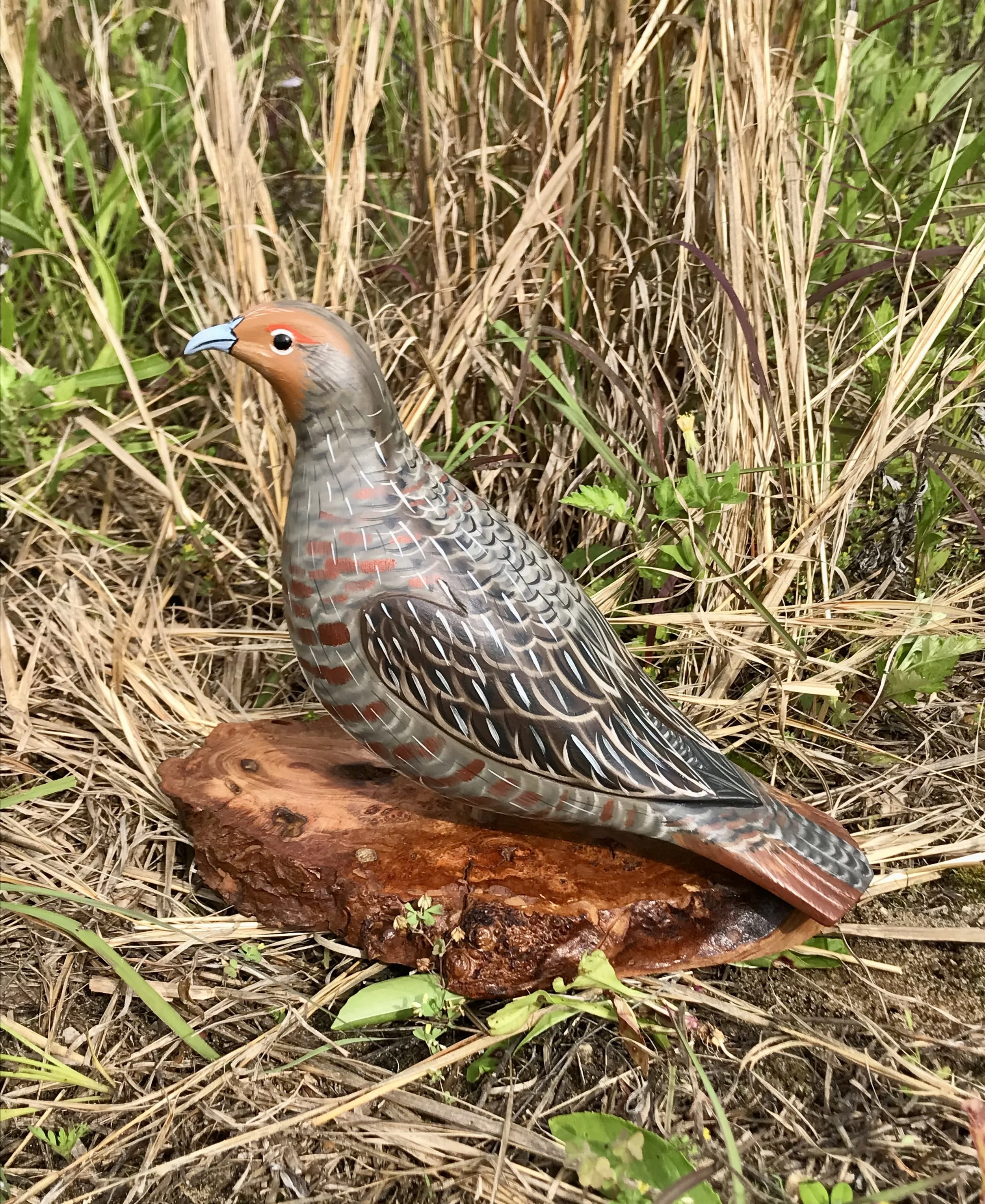 Hungarian Partridge carving - looking left.