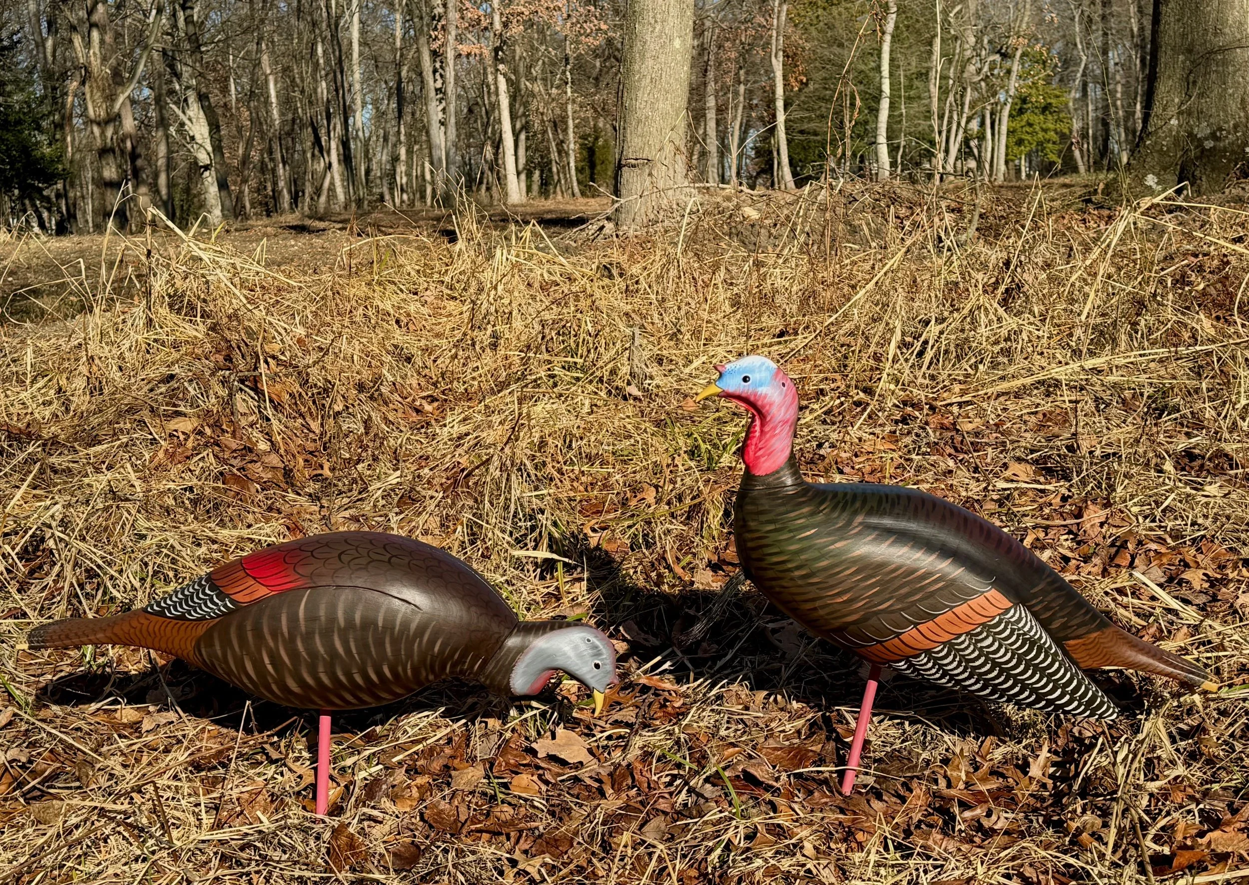 Hand carved Turkey decoys Feeding hen, semi strut Jake