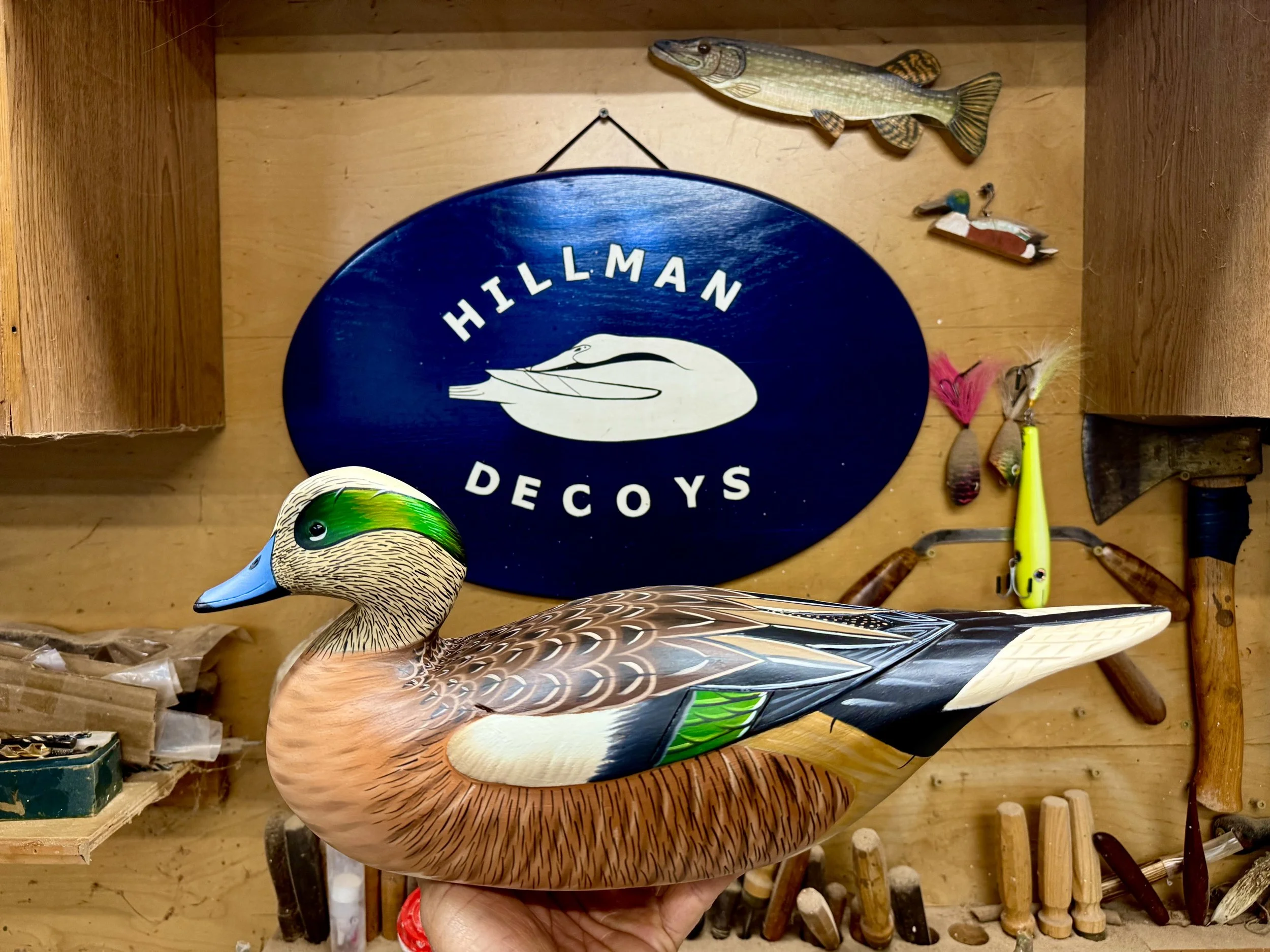 Drake High head wigeon