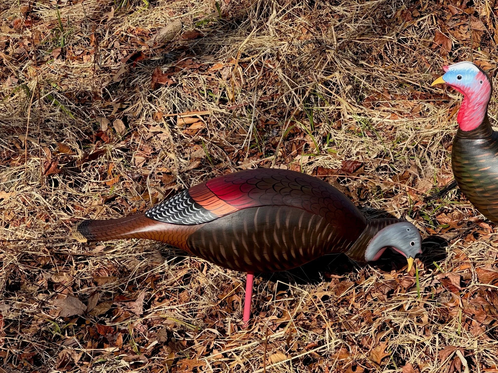 Feeding hen turkey decoy