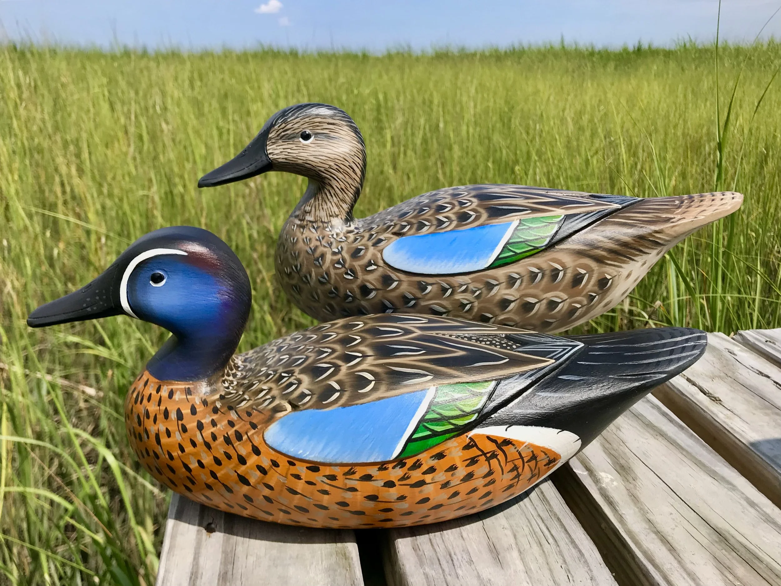 Blue wing teal pair. Ready to hunt or put on the shelf.