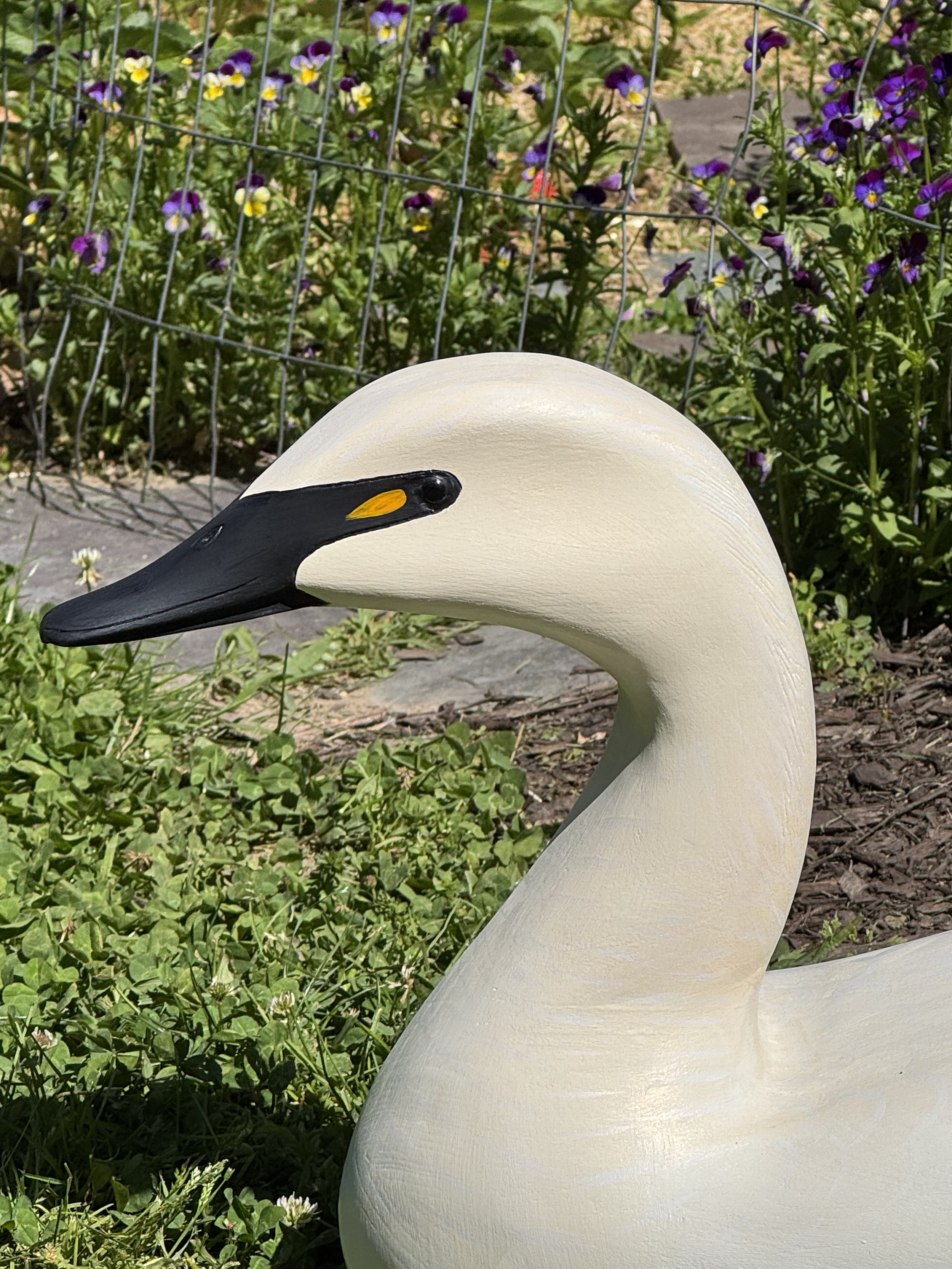 Swan Head Detail