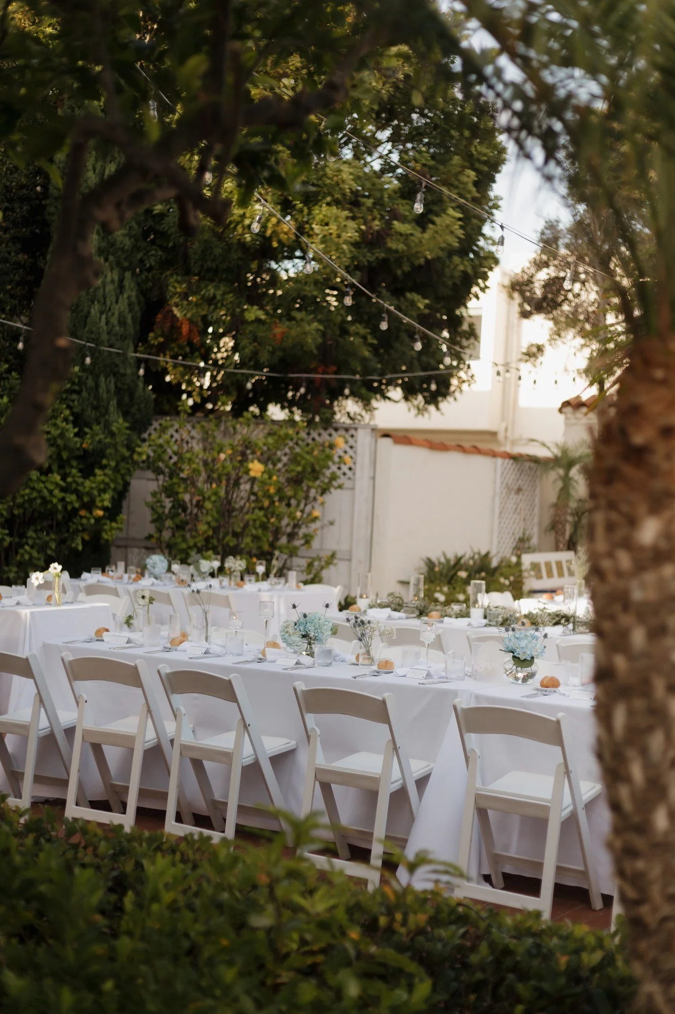 Reception tables seen through the trees in the Darlington House garden