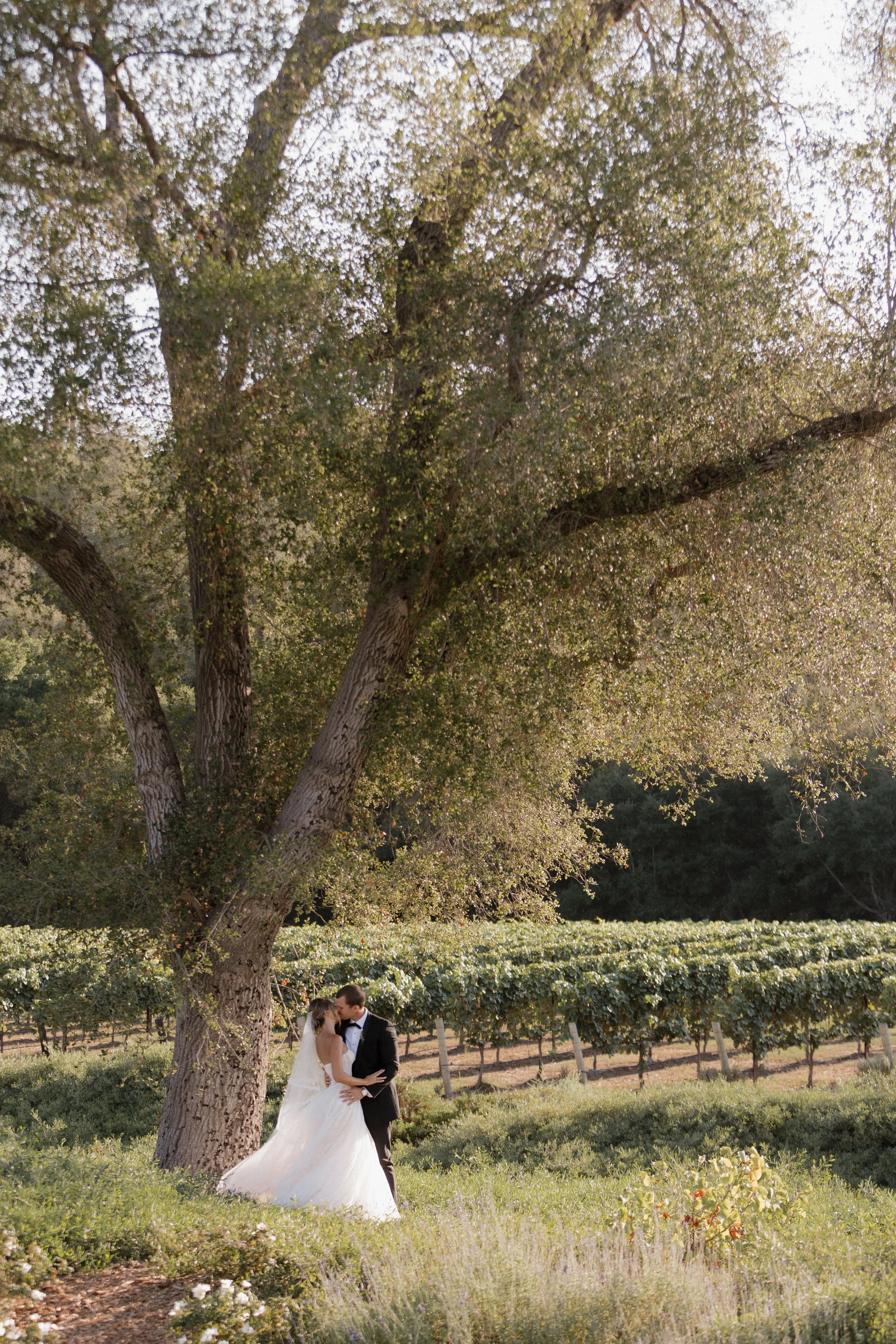 EpicEventsStudiosMonserateWeddingFallbrookCaliforniaWeddingPhotographerSanDiego-182.jpg