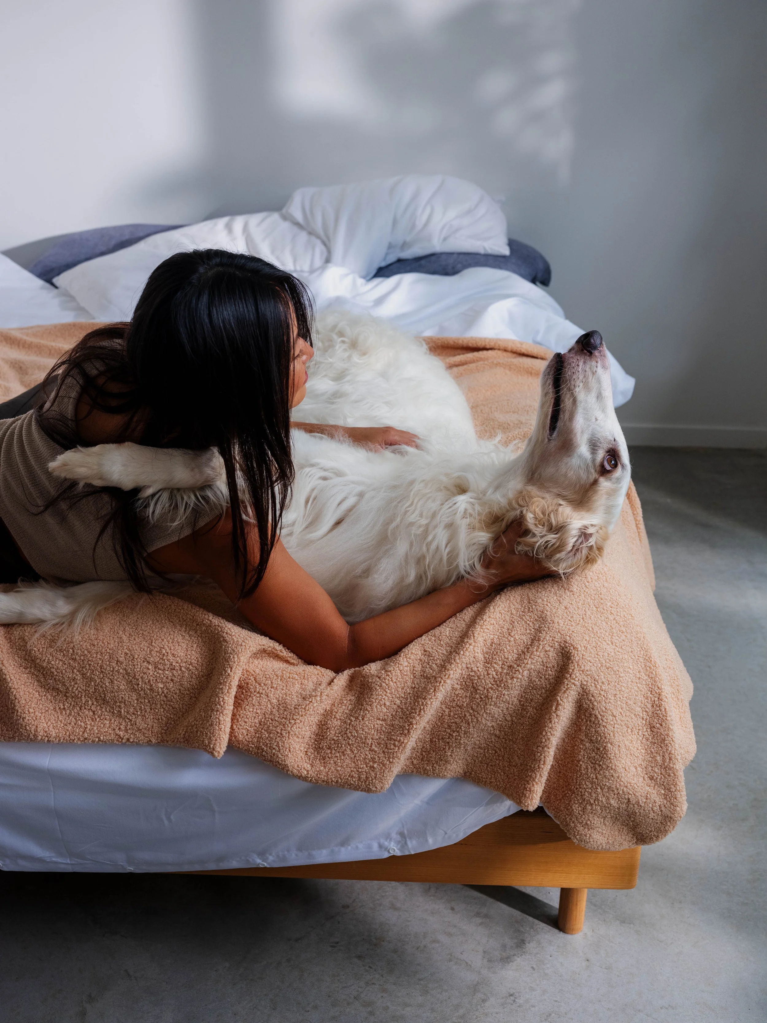 Person hugging a large white dog on a bed with a brown blanket in a sunlit room.