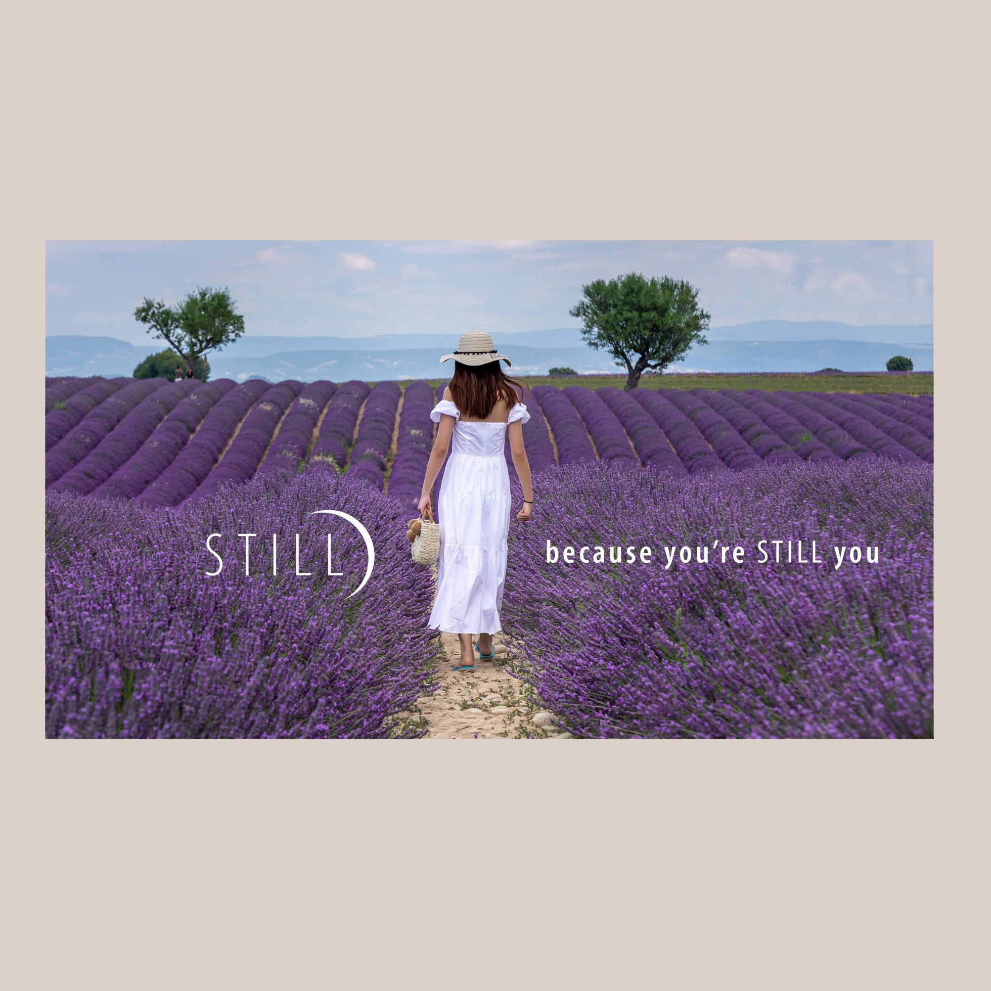 Shopify Banner