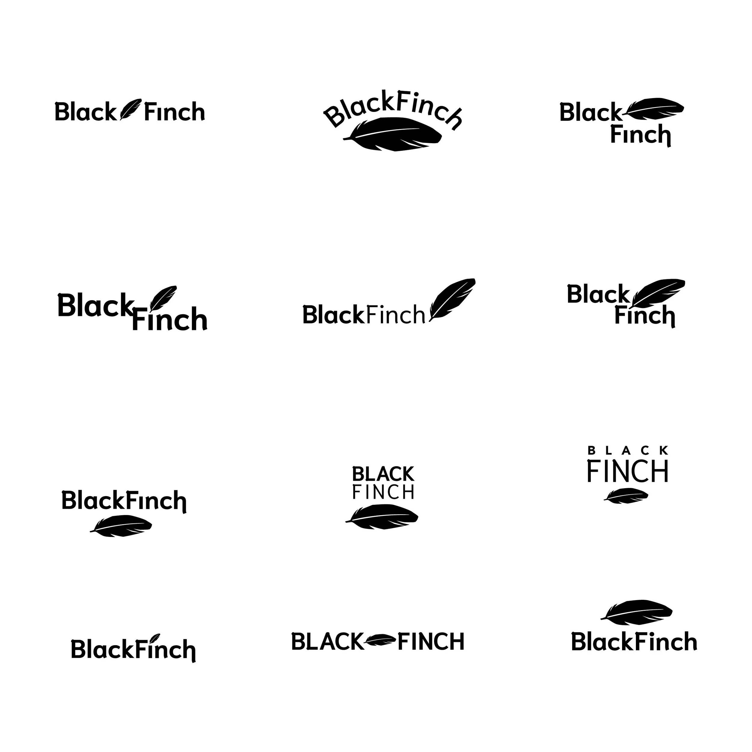 BlackFinch2.jpg
