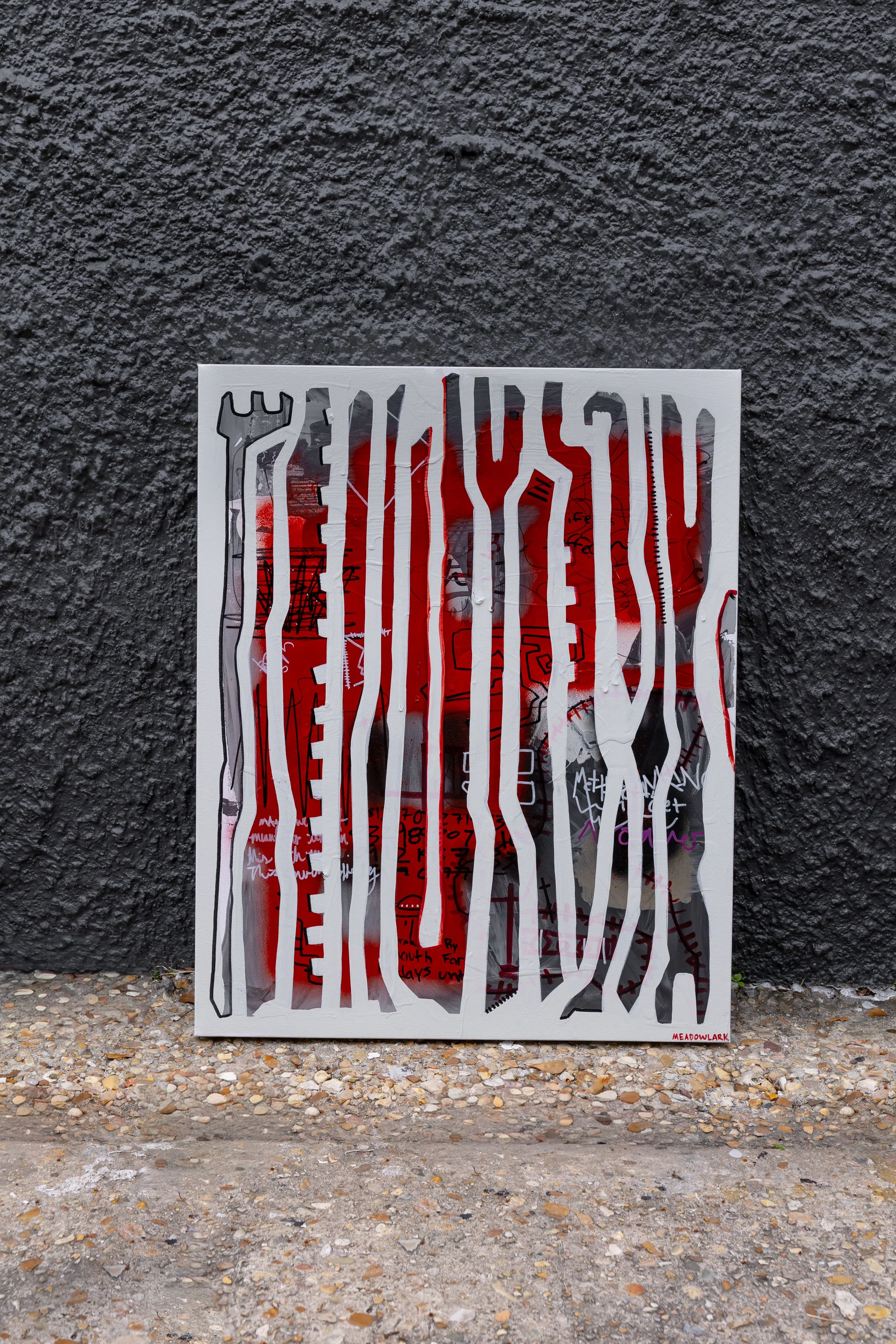 "MIRRORS"  24X30"  $900