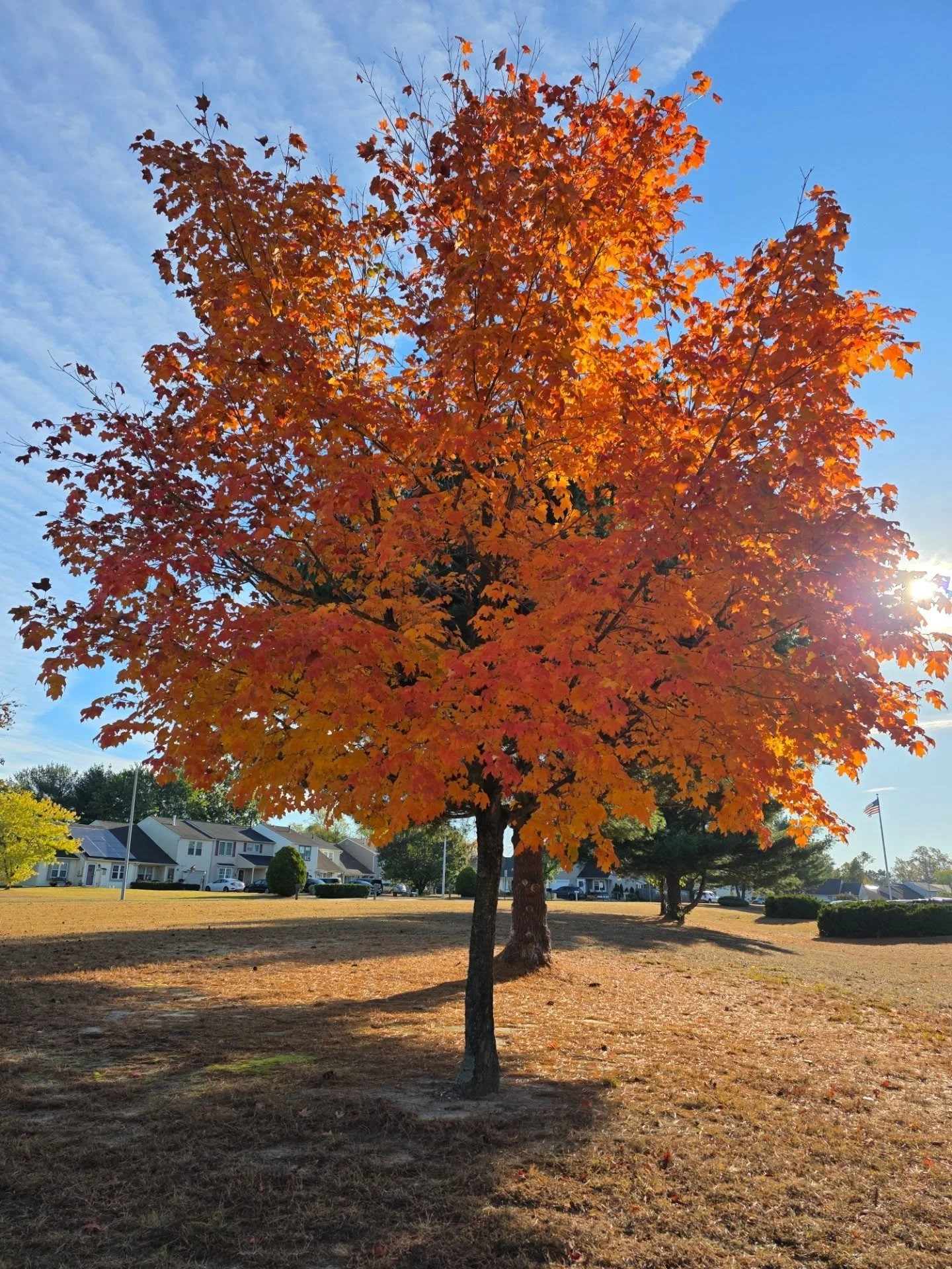 This is my first fall since I started practicing photography and I'm so excited to see what I find 📸