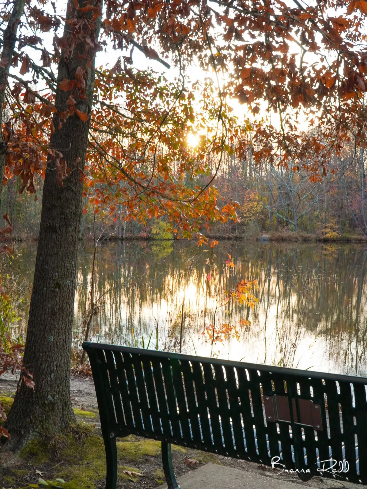 Fall days at the park 🍂🍁🍂

#photooftheday  #fallcolors  #lakes
