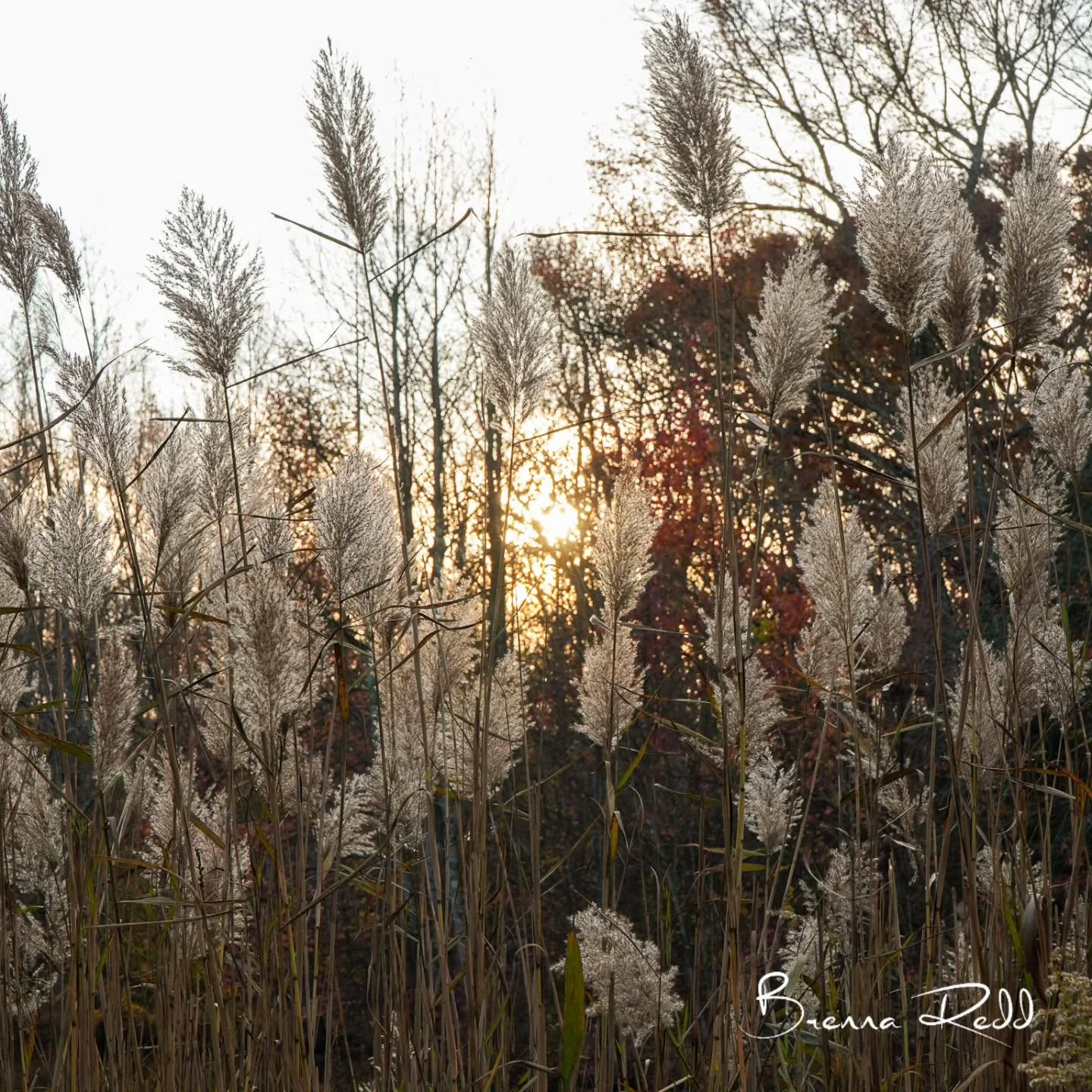 #photooftheday #natureshots