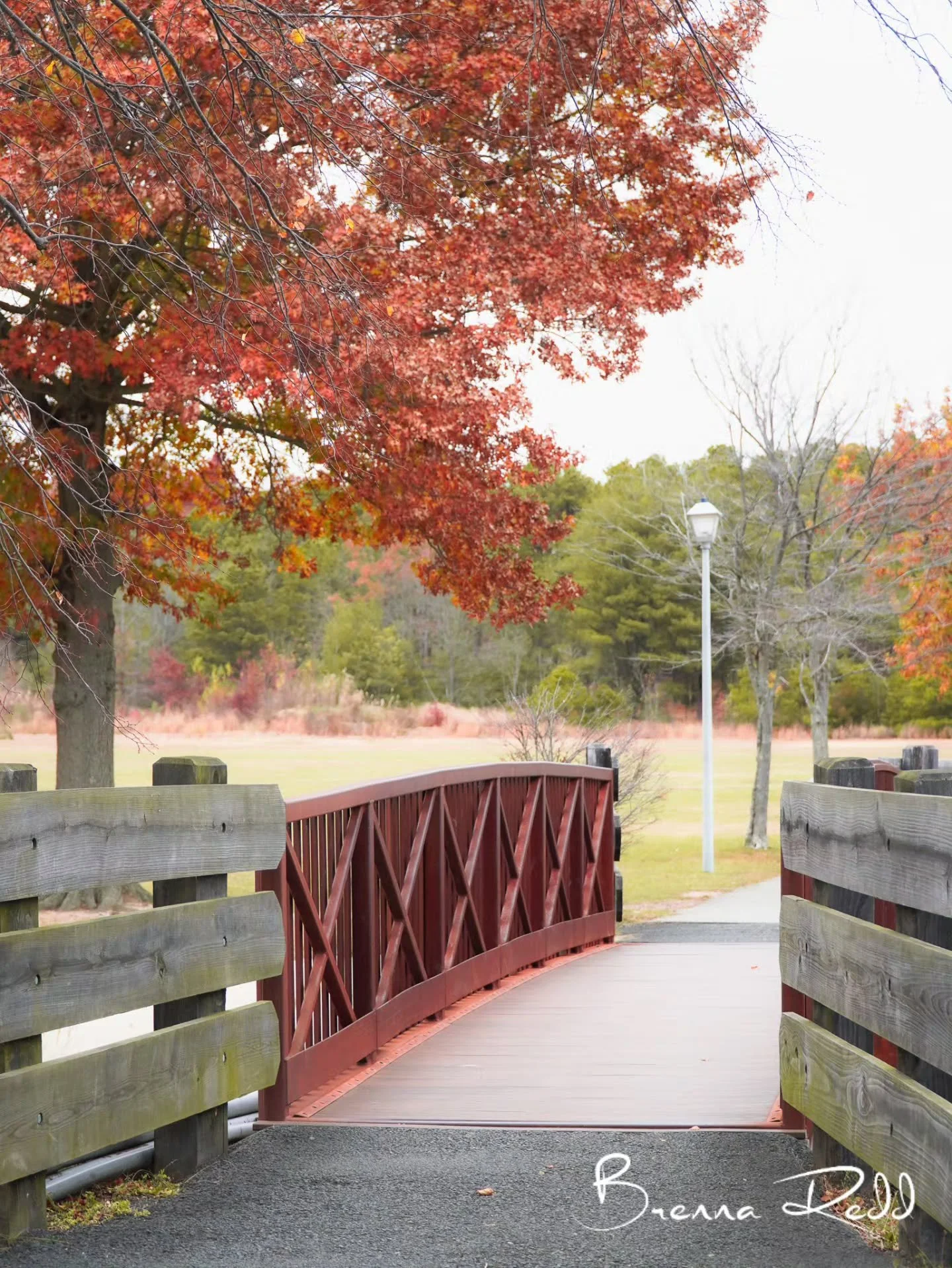 #photooftheday  #bridge  #autumncolors