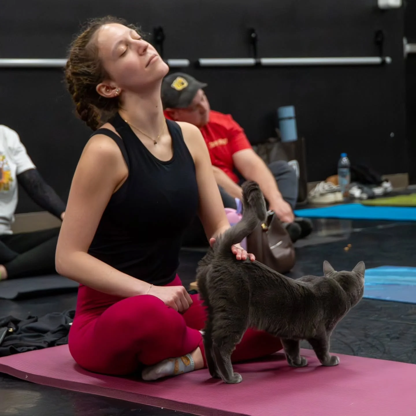 I had the most wonderful time supporting the team @rescue.kitty at their Galenstines Event yesterday!!! ❤️🐈&zwj;⬛️

Shootout to the team at @alchemyx_southjersey for the kitty yoga and pilates!

#rescusekitty  #njcatrescue  #galentinesday❤️