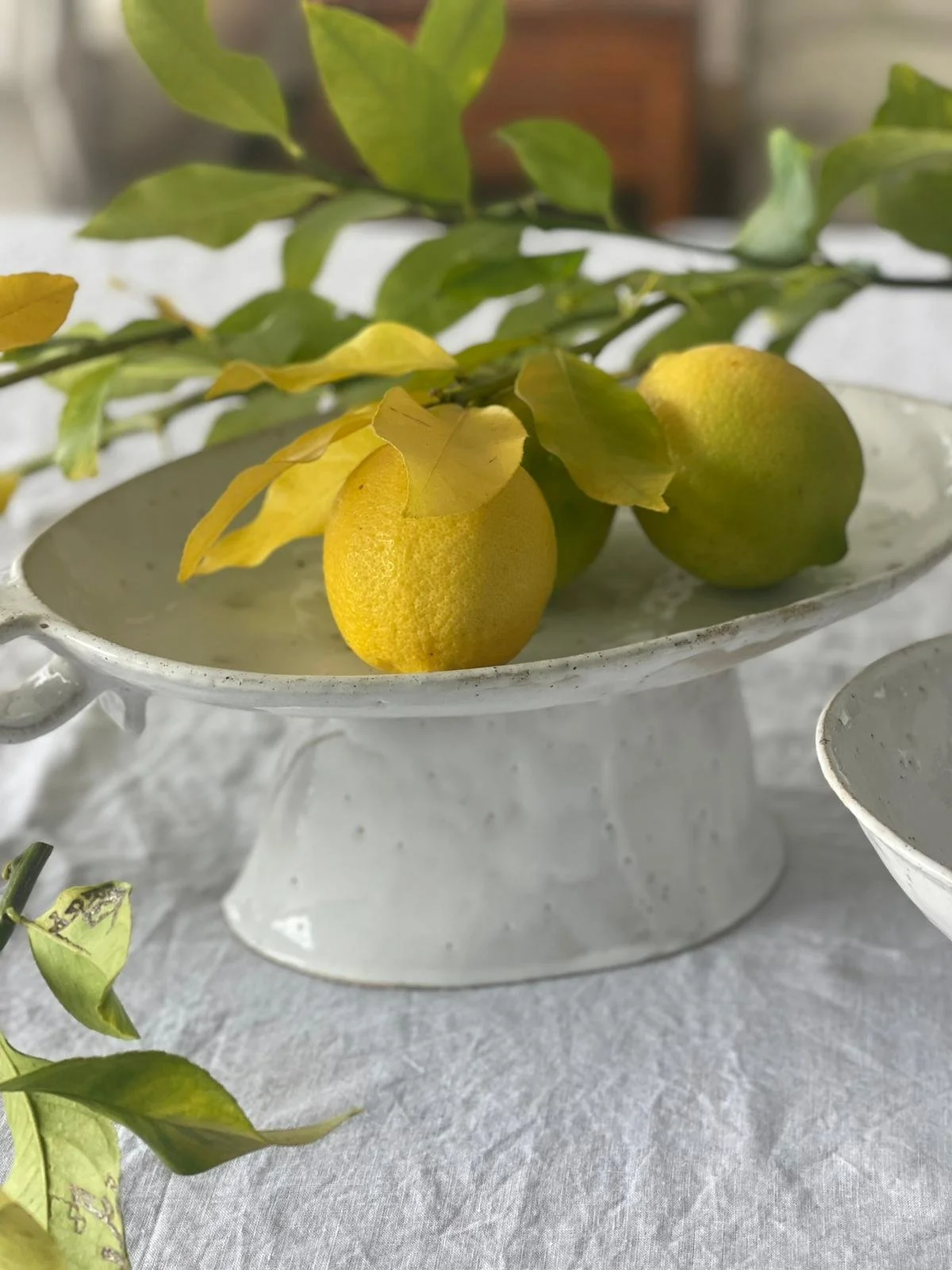 WhatsApp Image 2025-10-03 at 10.26.35 (1).jpeg