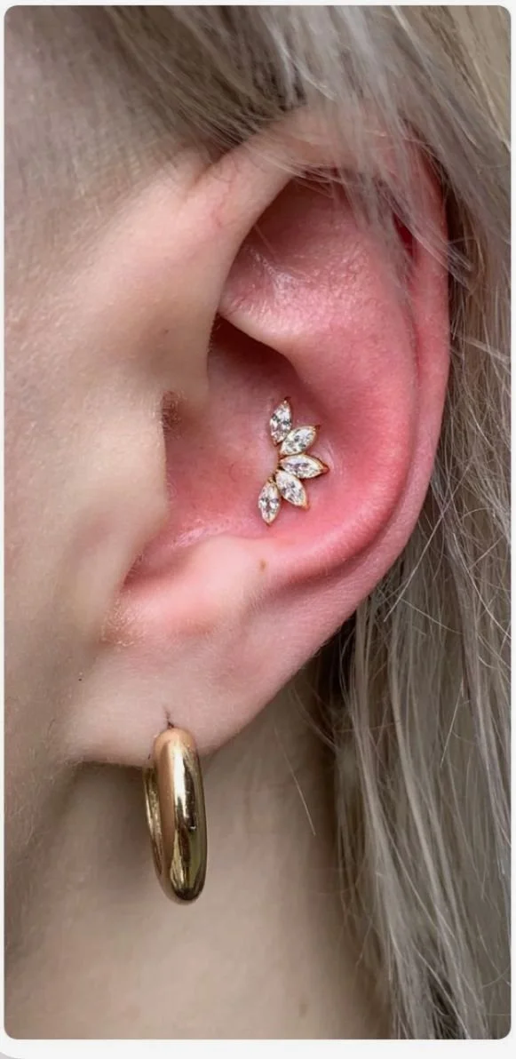 Conch Piercing.jpg