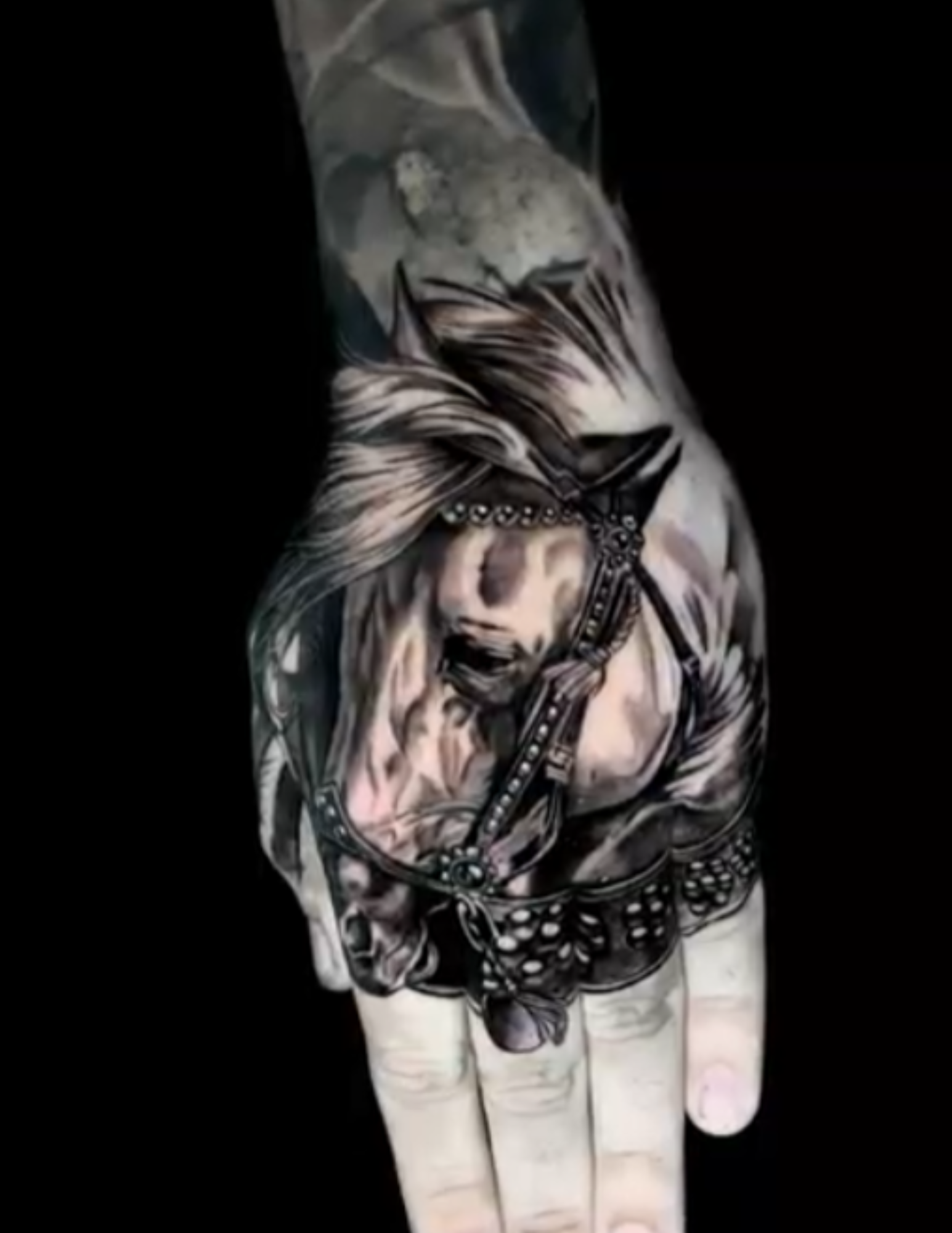 Realistic Horse Black and Grey Realism on the hand.jpg