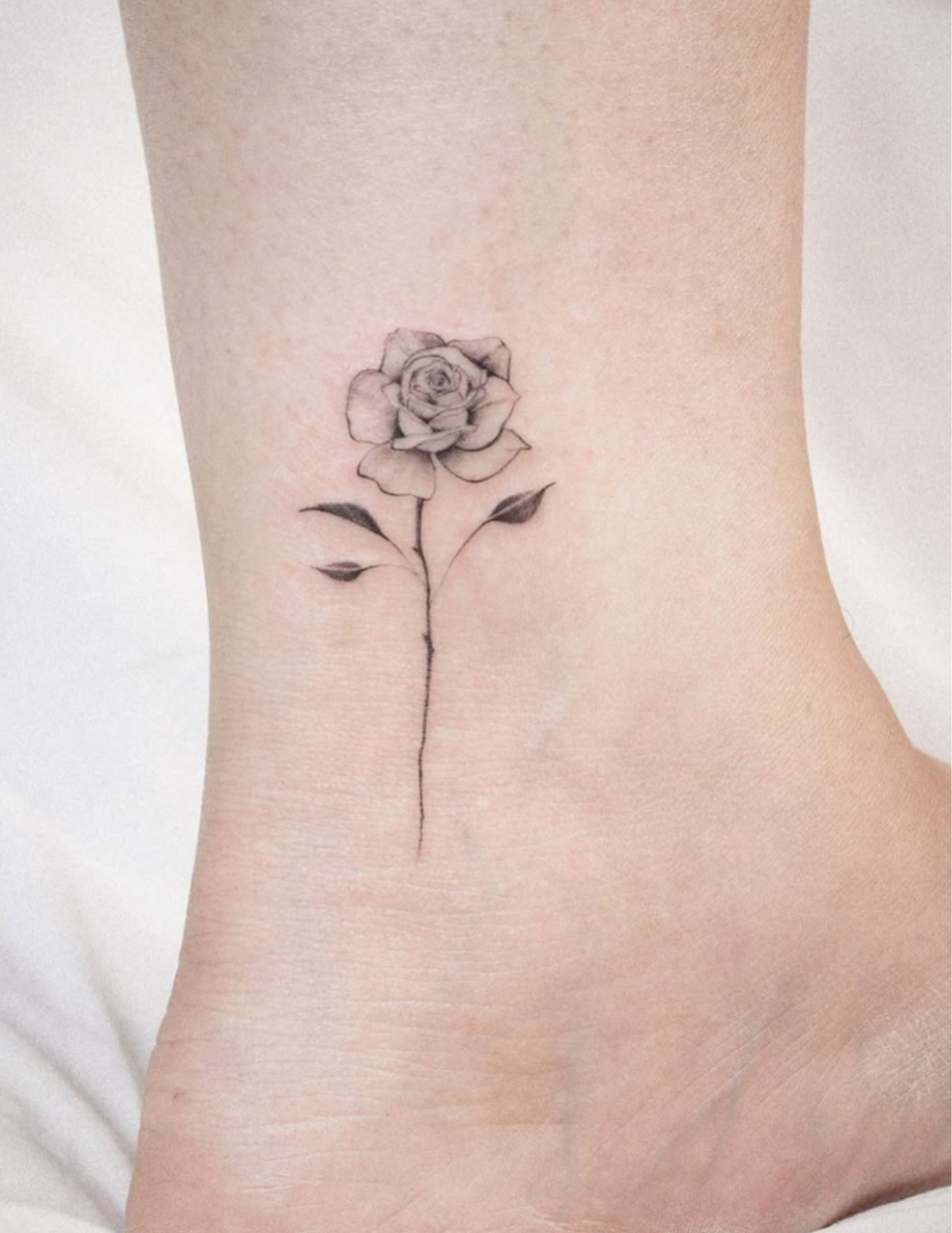 Realistic rose tattoo outline