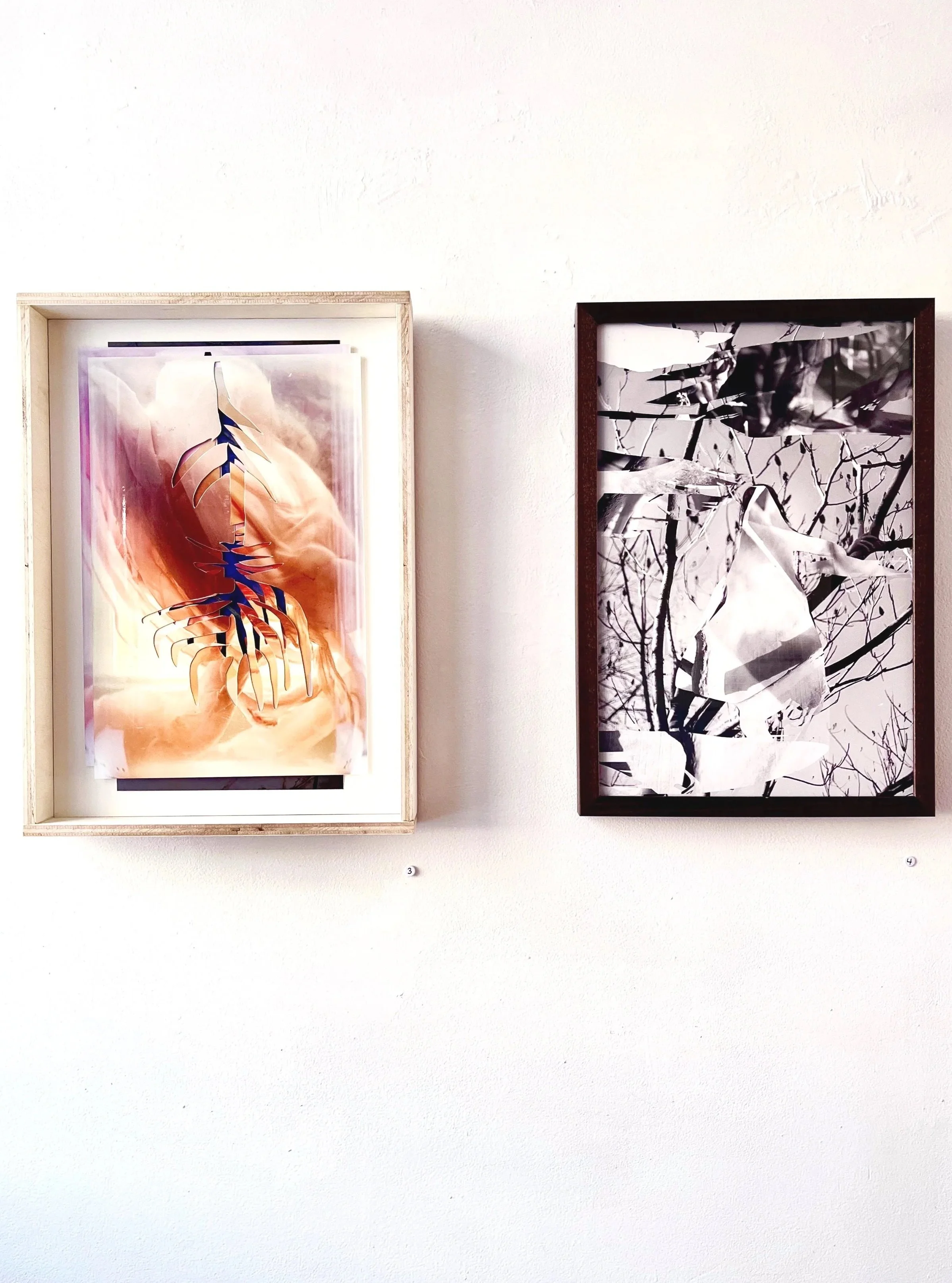 Mycelium/Kombucha and Tree climber, 13x19 inches, 2024 (Sandisfield Art Center)