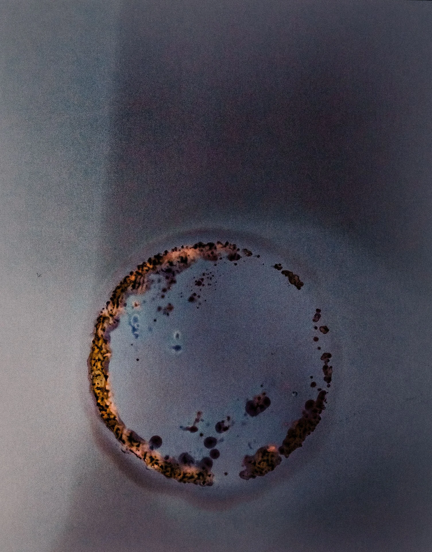 Purple Ring