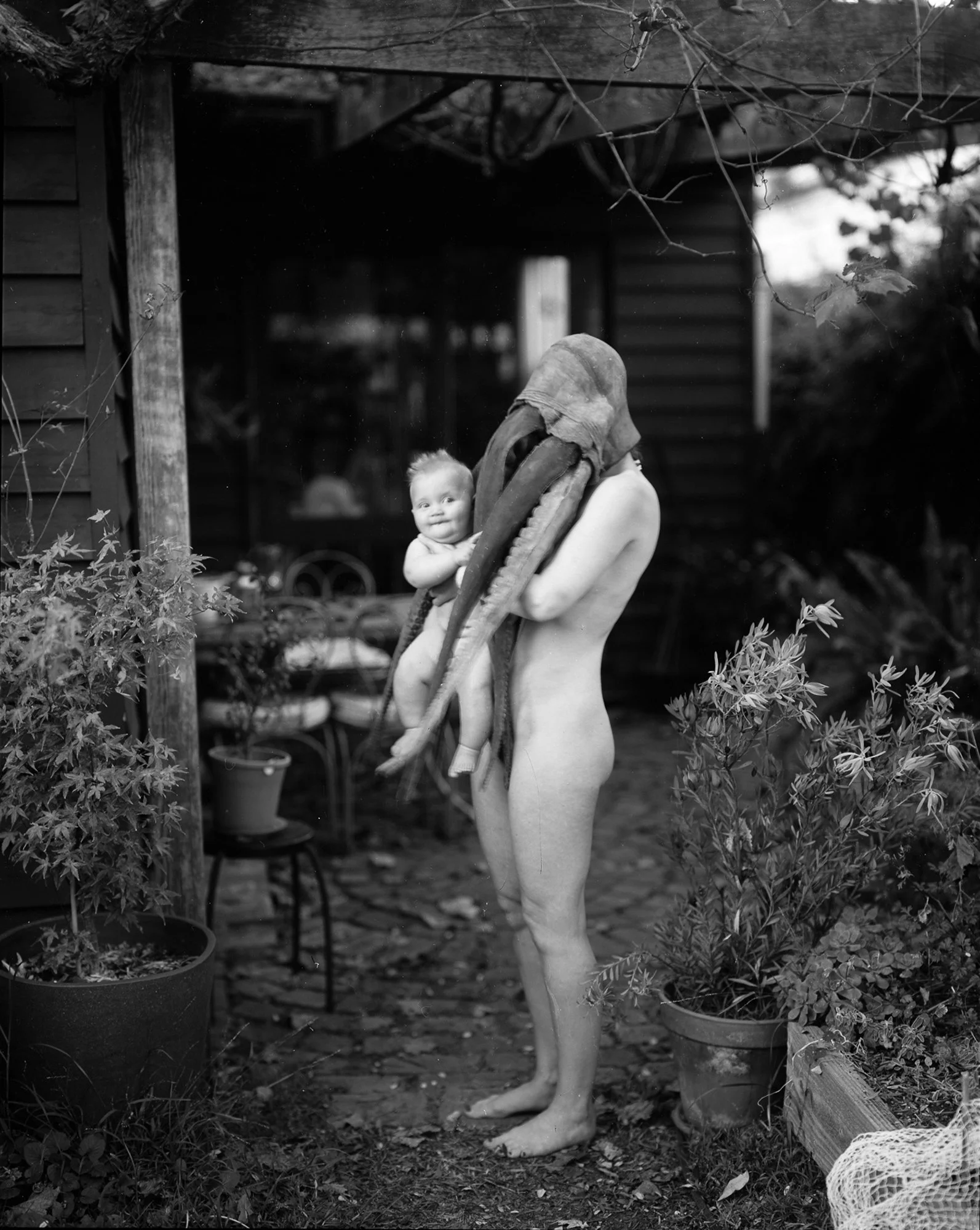 Beavers Rd, silver gelatin print, 20x24 inches, 2009