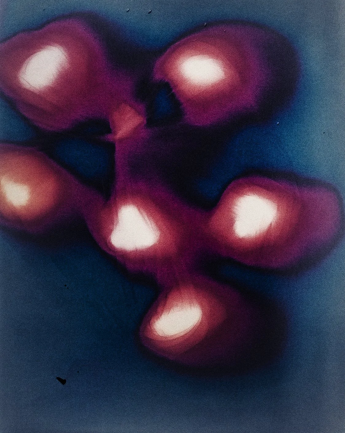 Kitchen Sink, March 31, morning, rain (Constellation), inkjet print of lumen print, 15x23 inches, 2025