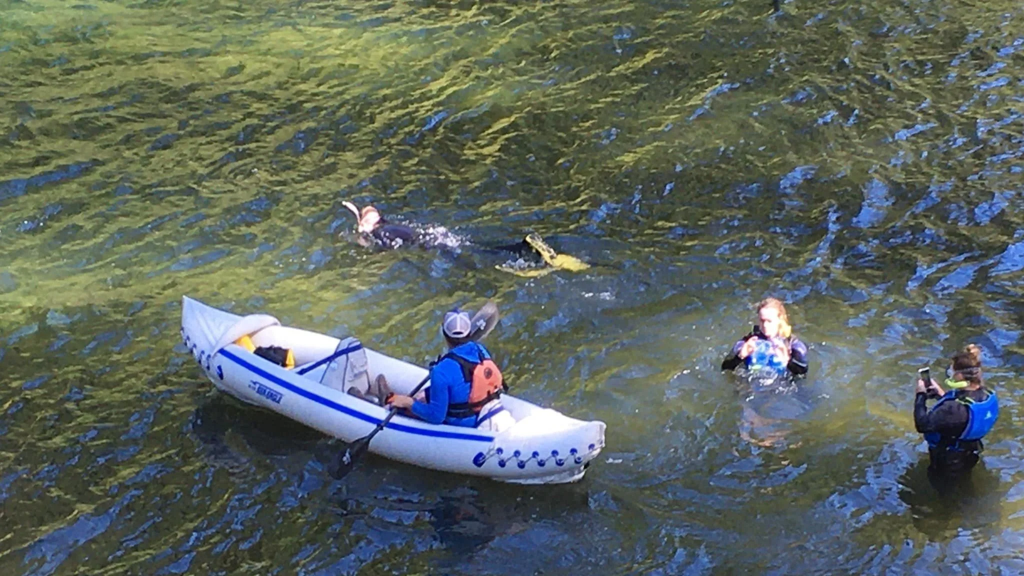 Swimming with the salmon