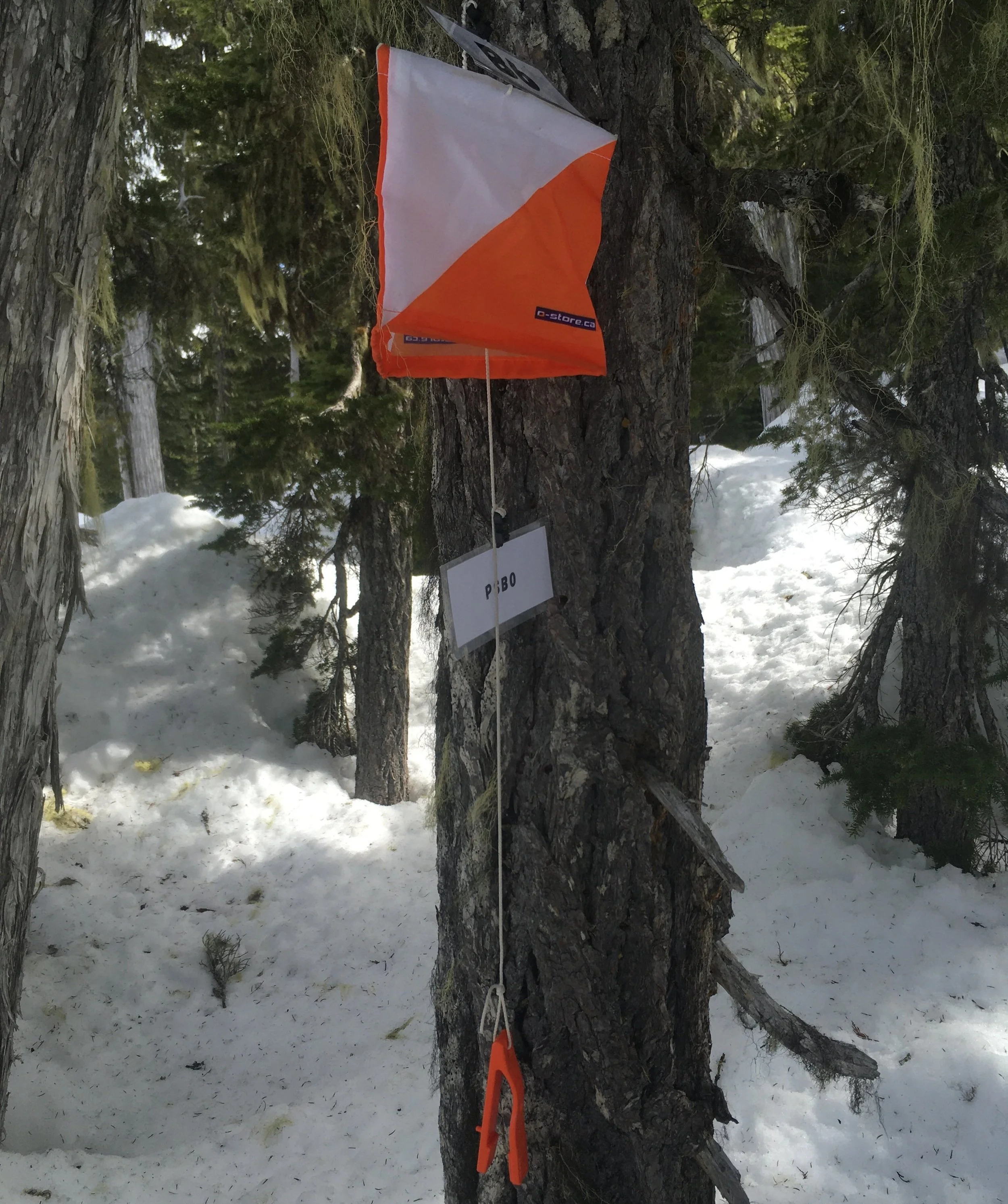 navigation courses