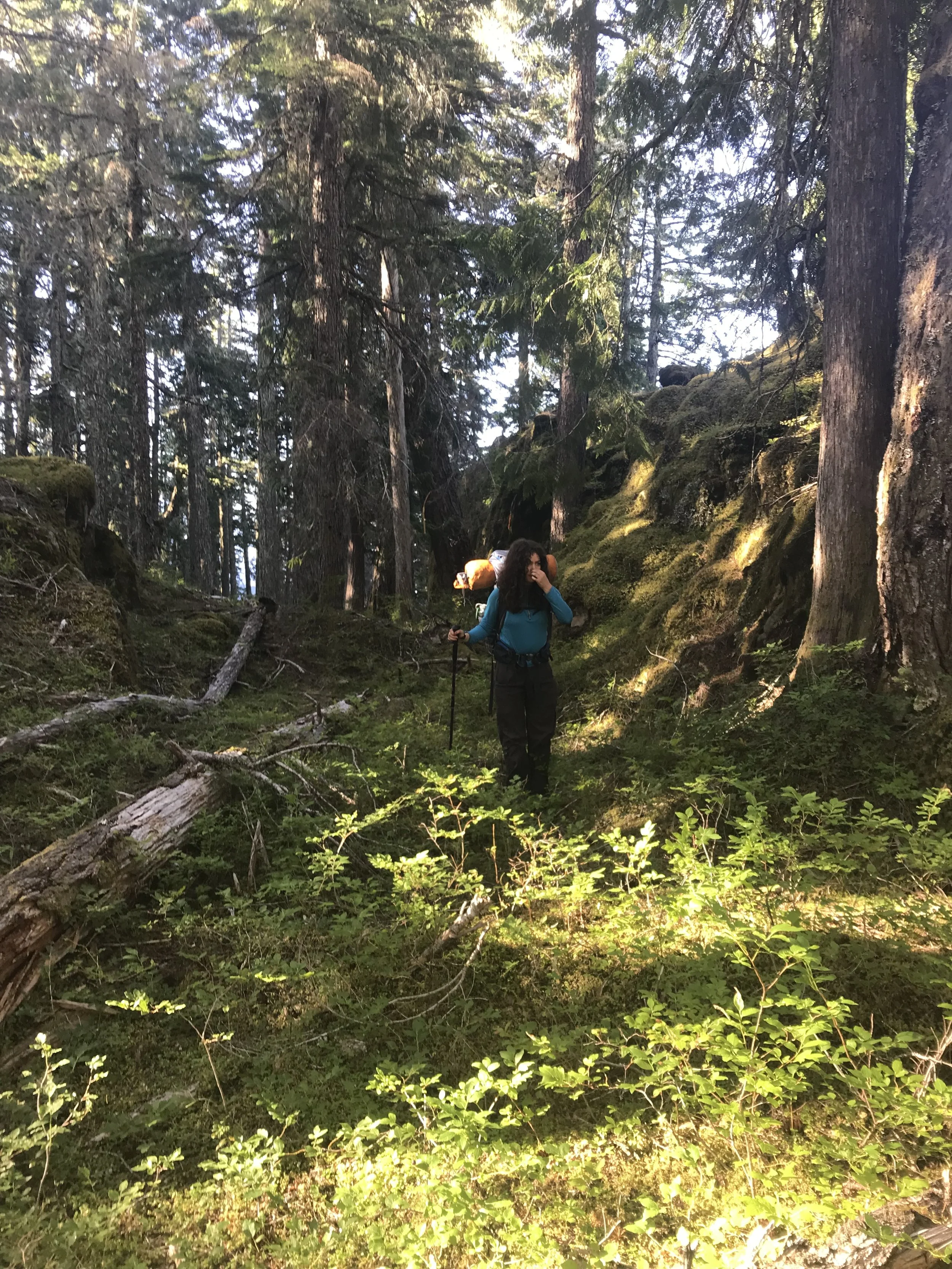 hiking adventures