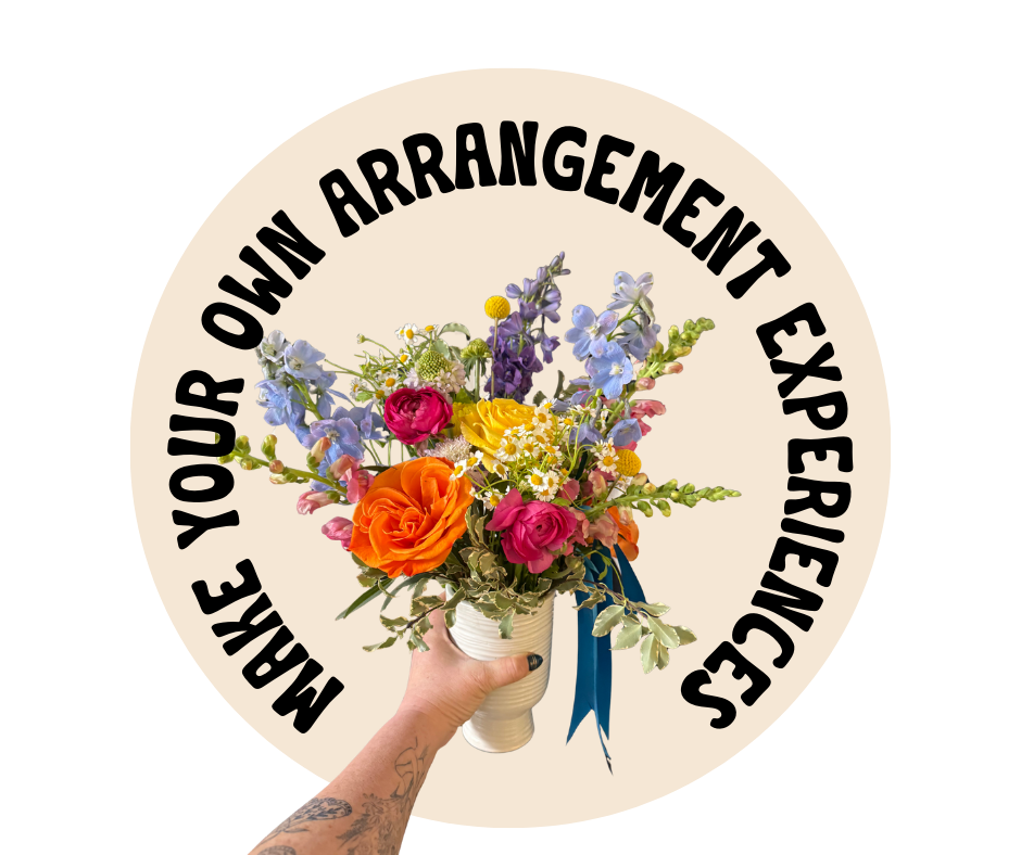 Website pictures V4 copy.png