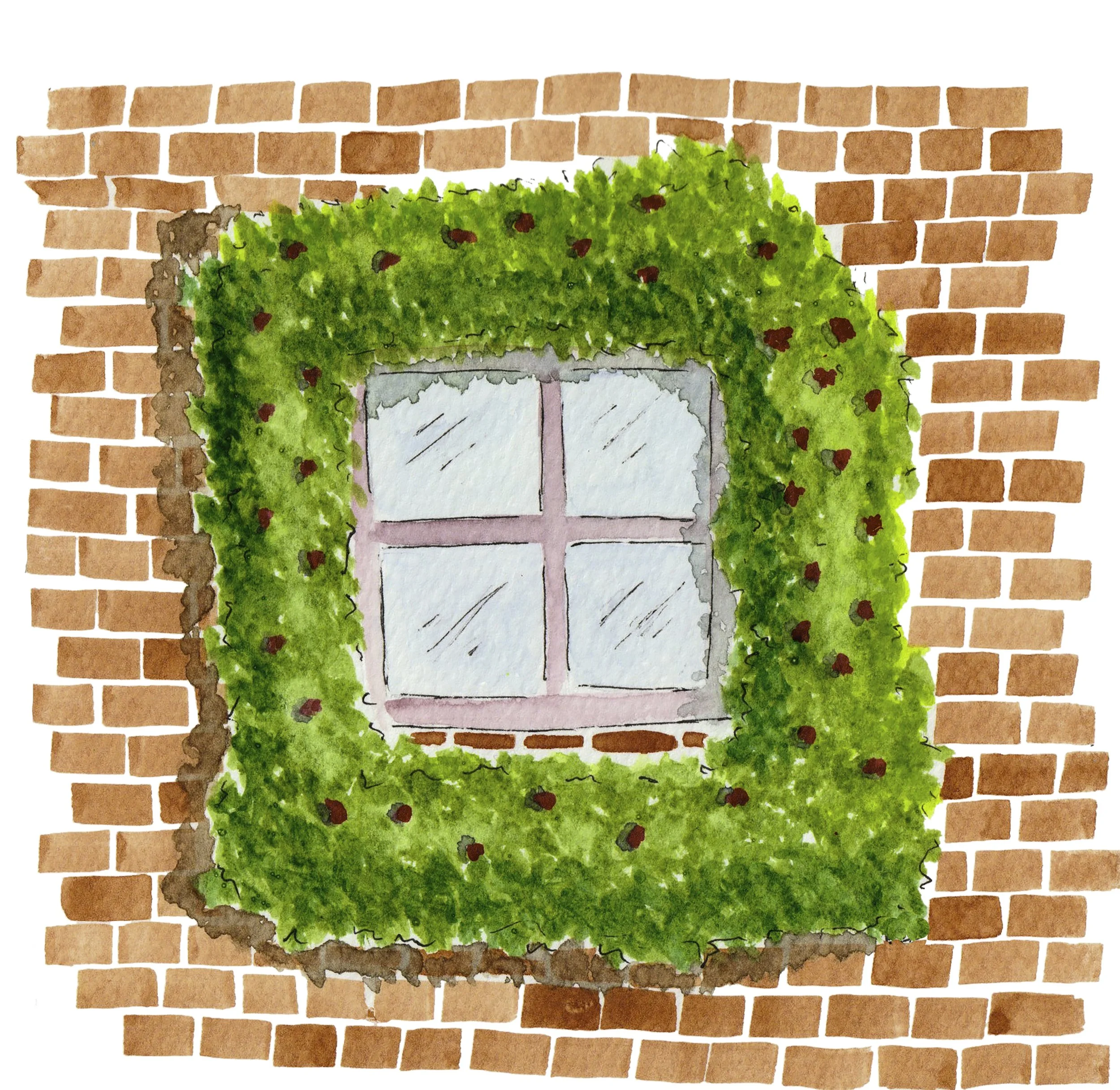 window.jpg