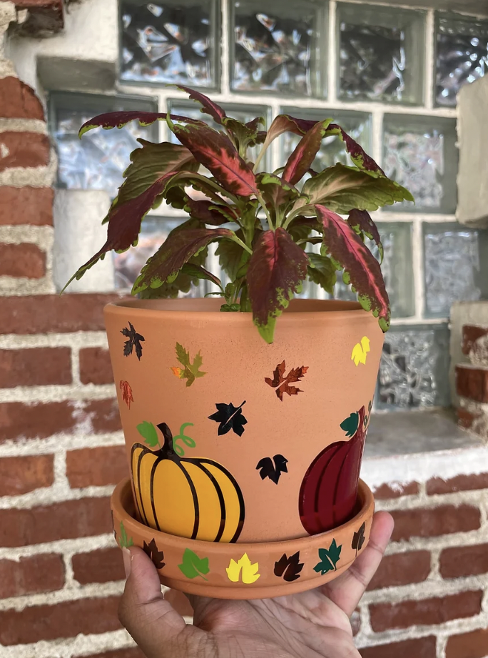 Screenshot 2025-01-27 at 4.01.01 PM.png