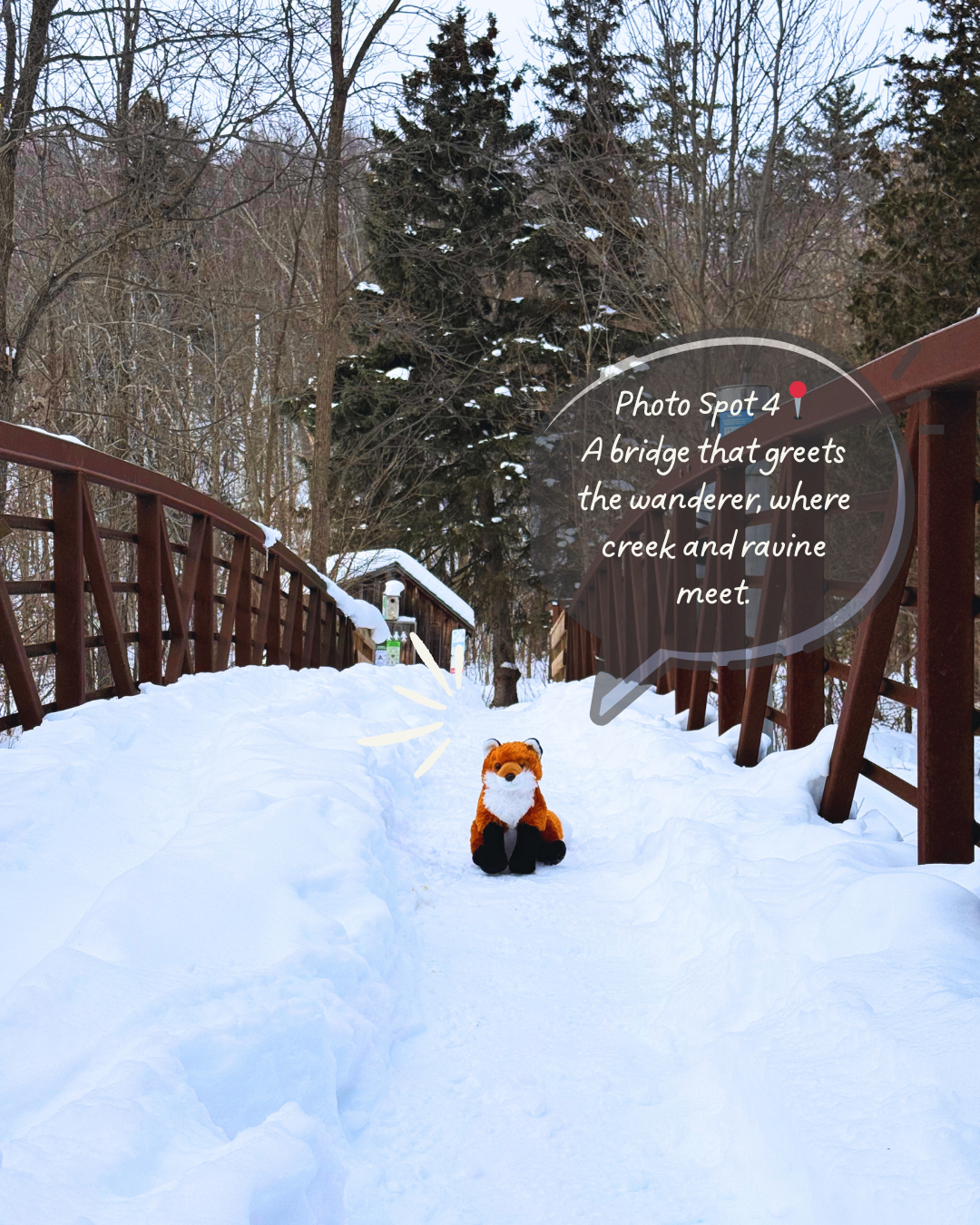 3 Easy Ways to Connect with Nature in February  