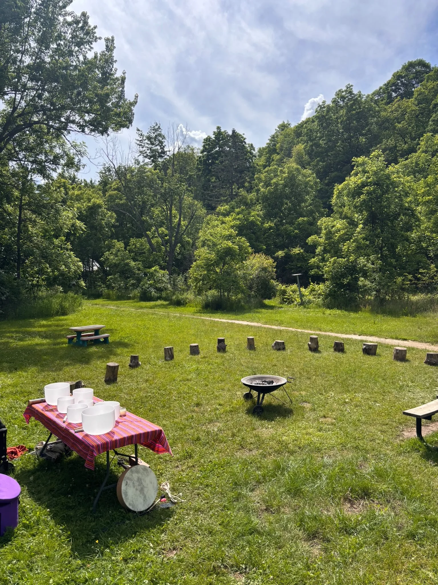 Celebrating Summer Solstice Through Nature, Wellness and Community