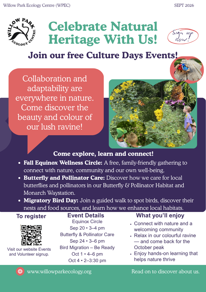 Get Ready for Migratory Bird Day: Culture Days