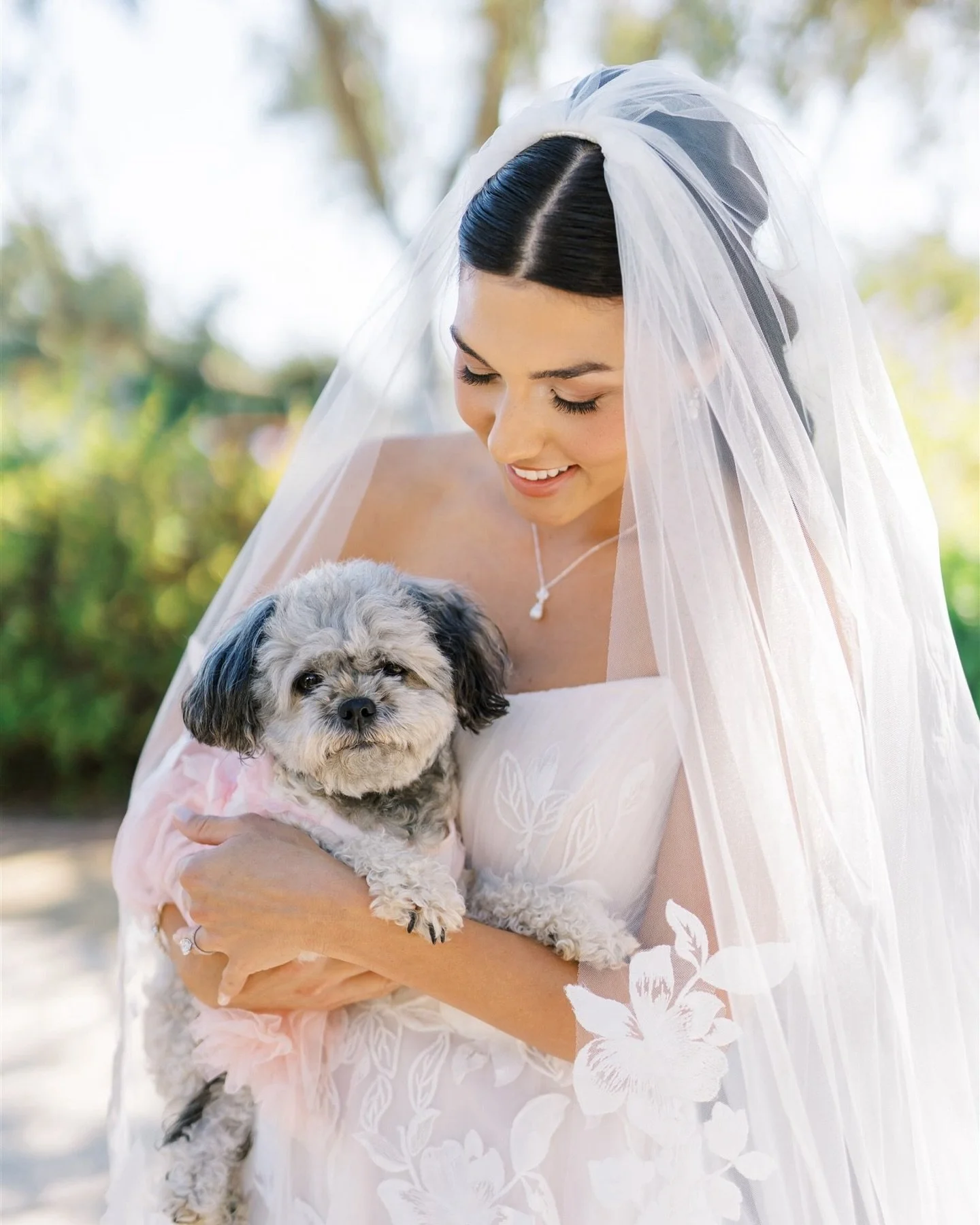 Still dreaming about this gorgeous wedding last week at @liveloveleal 🤍✨

#napawedding #napaweddingphotographer #sonomaweddingphotographer #bayareaweddingphotographer #winecountryweddings #weddinginspo#norcalweddingphotographer #WeddingInspiration #