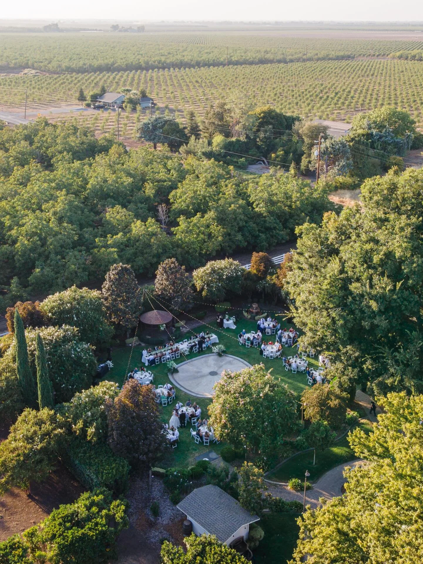 Dreams in the sky ✨ @irongategardeninn 

#napaweddingphotographer #napavalleywedding #sonomacountywedding #bayareaweddingphotographer #sonomaweddingphotographer