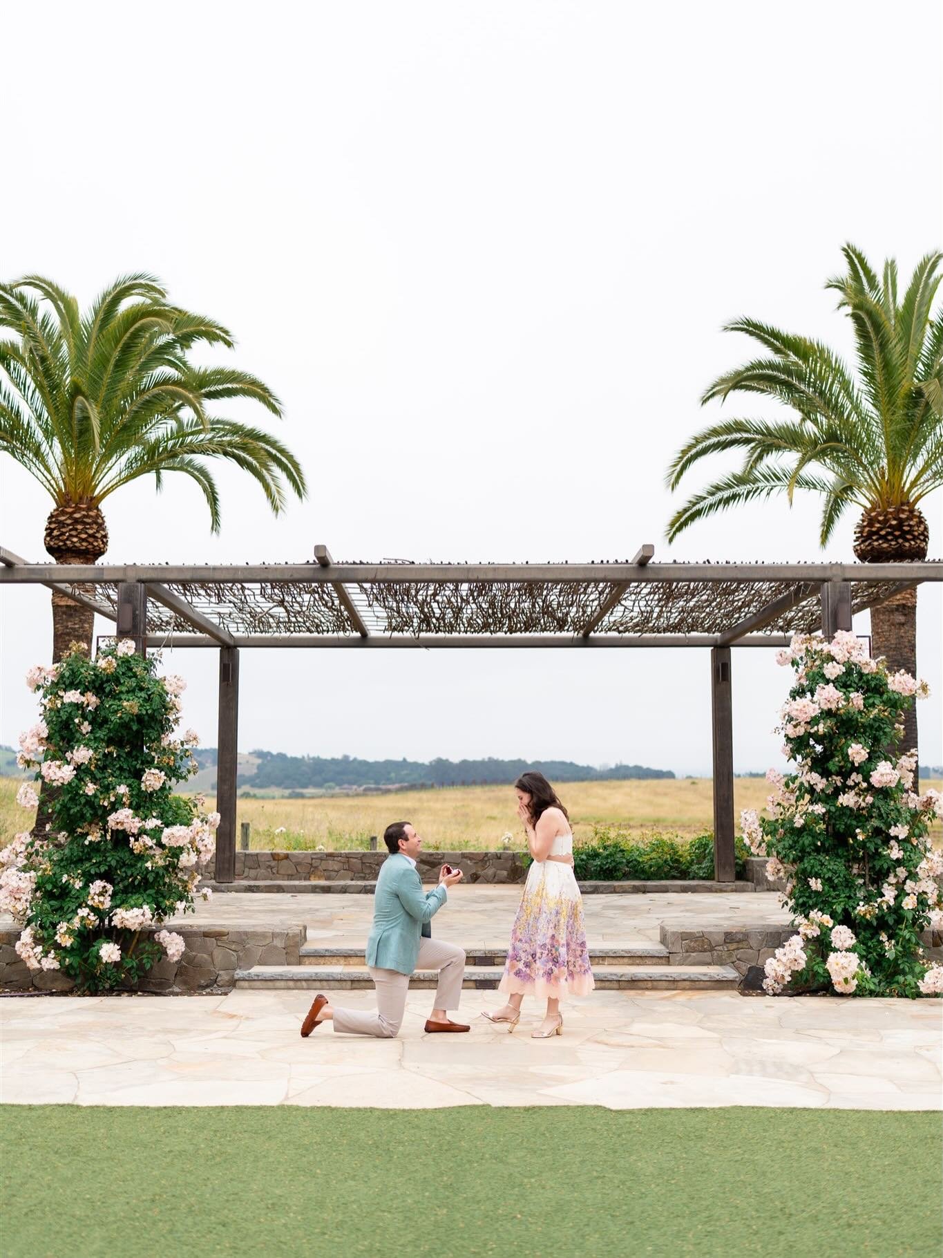 A beautiful proposal captured at @carnerosresort 💍 This Texas couple has been coming out to the valley for years and felt it was only right at one of their favorite places to stay. 

#napaweddingphotographer #sonomaweddingphotographer #proposal #eng