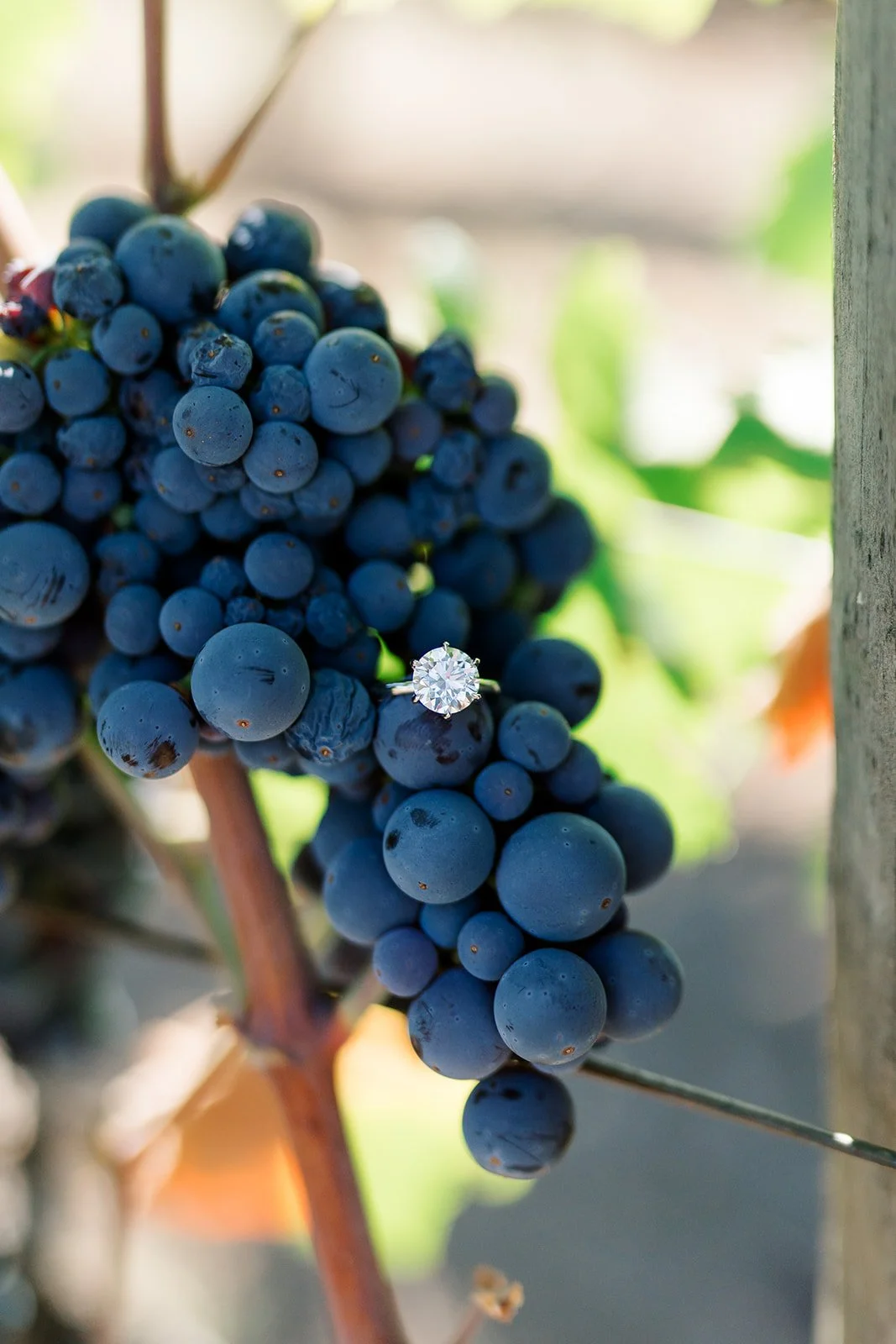 B&R Proposal-62_websize.jpg