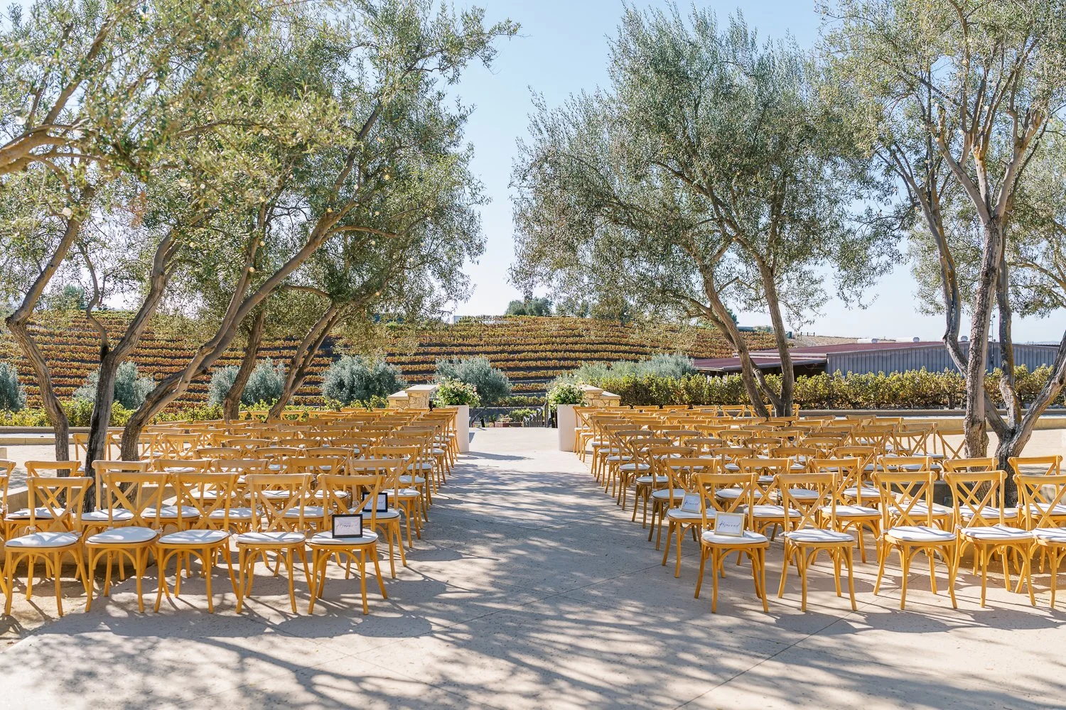 Leal Wedding-83.jpg