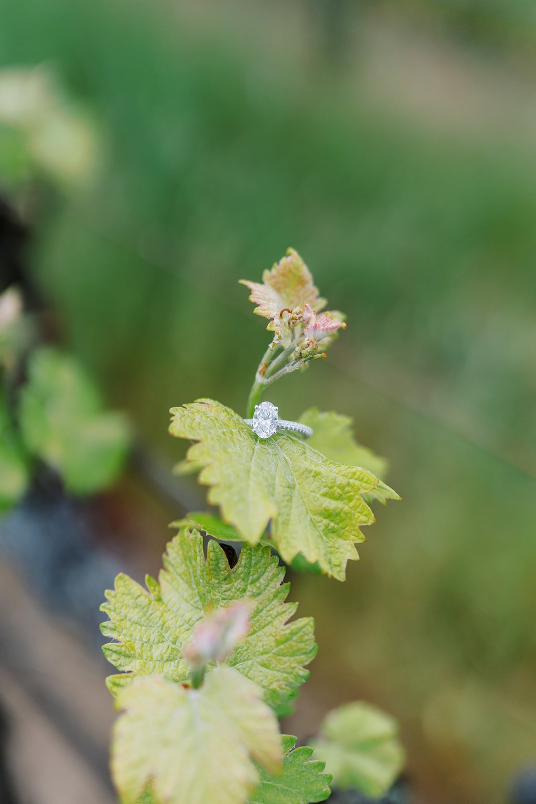 M&S Proposal-60_websize.jpg