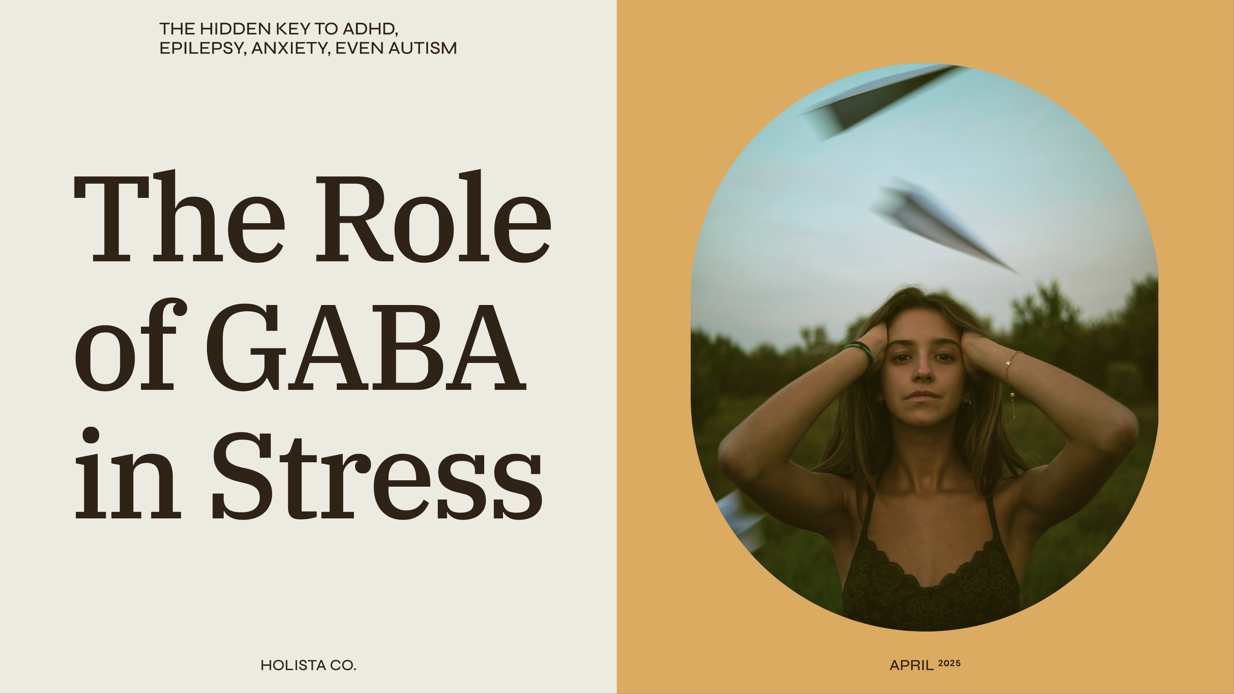 3 | Gaba Slide .png