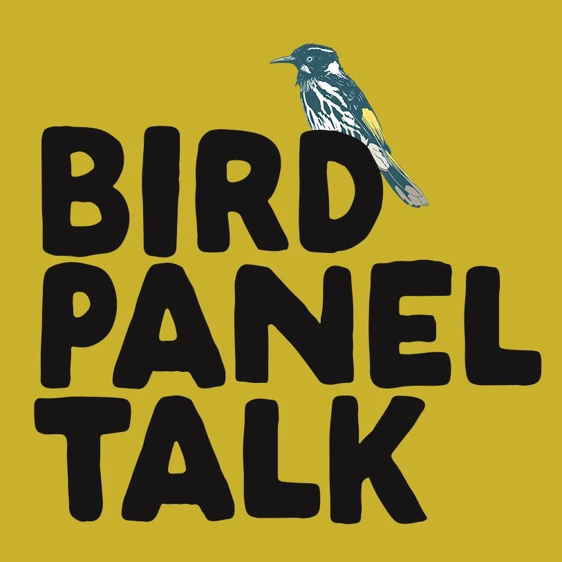 Curated visual reference: Inner West Bird Fest Photo Inspiration