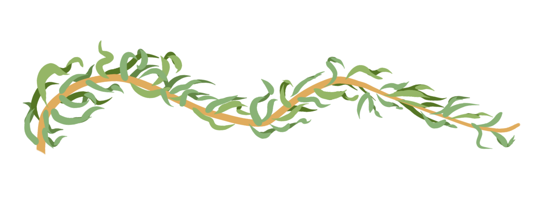 Willow branch