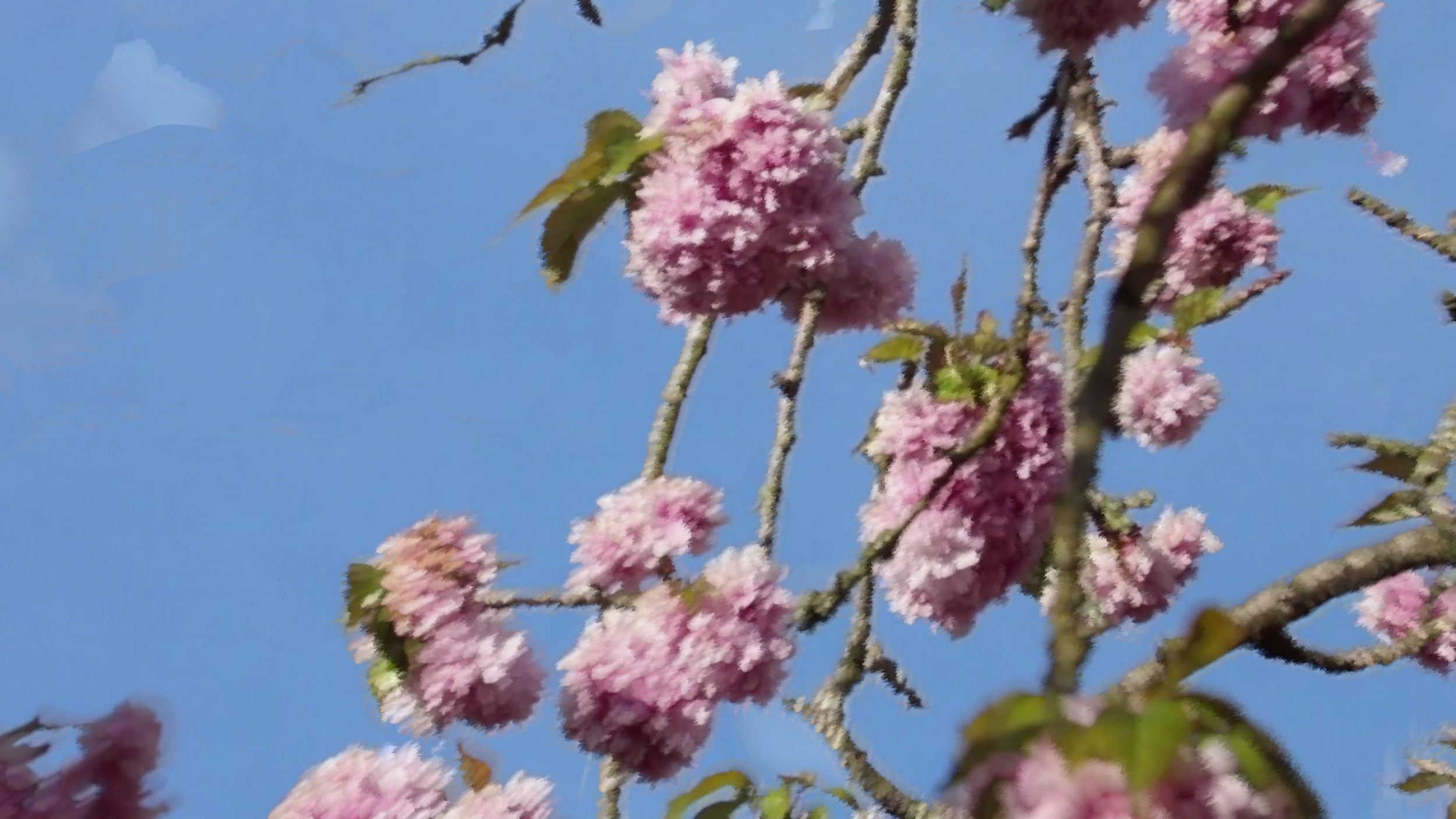 Flowering Part