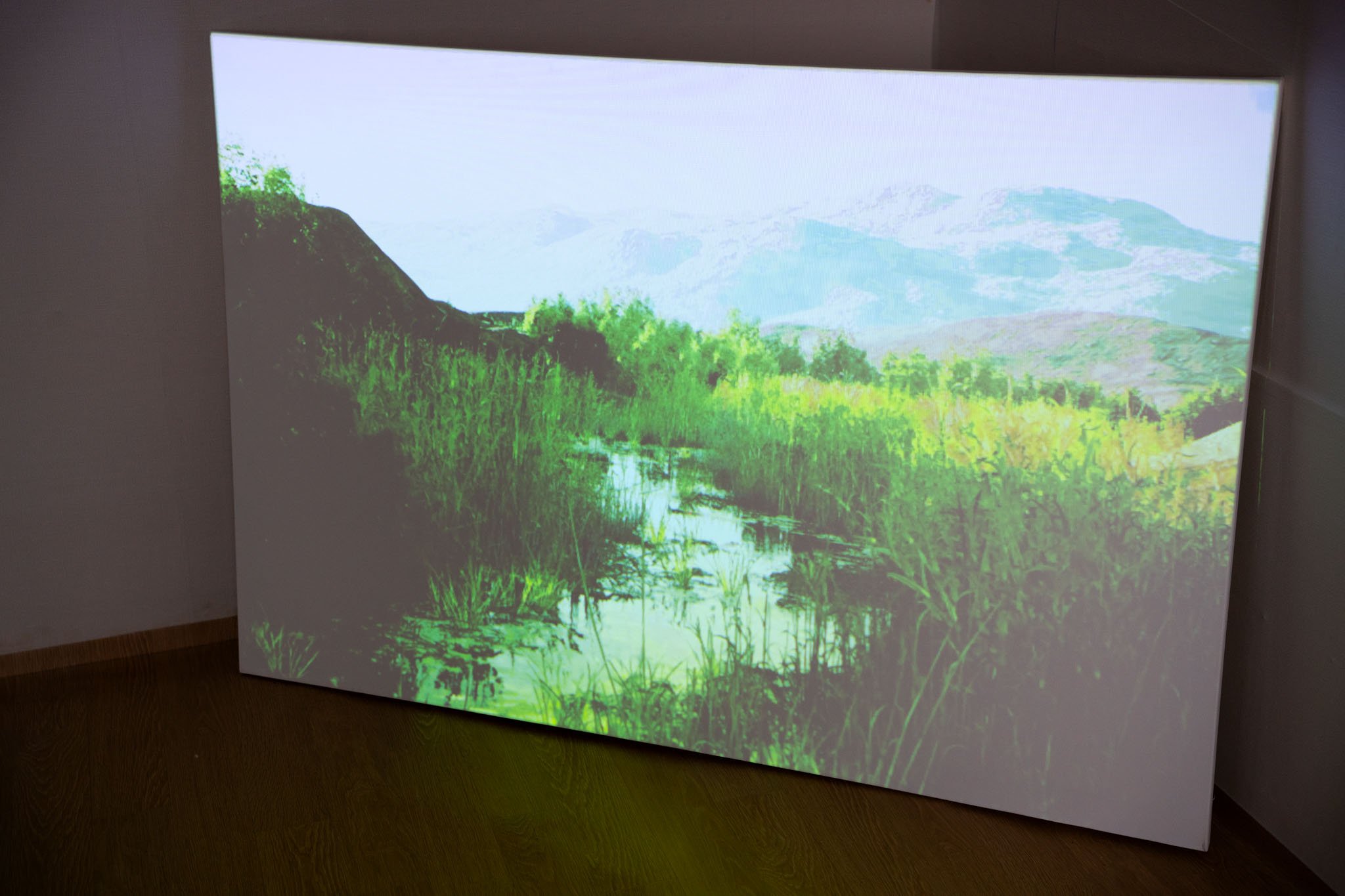 Installation View, 145.5 X 97.0 (CM)