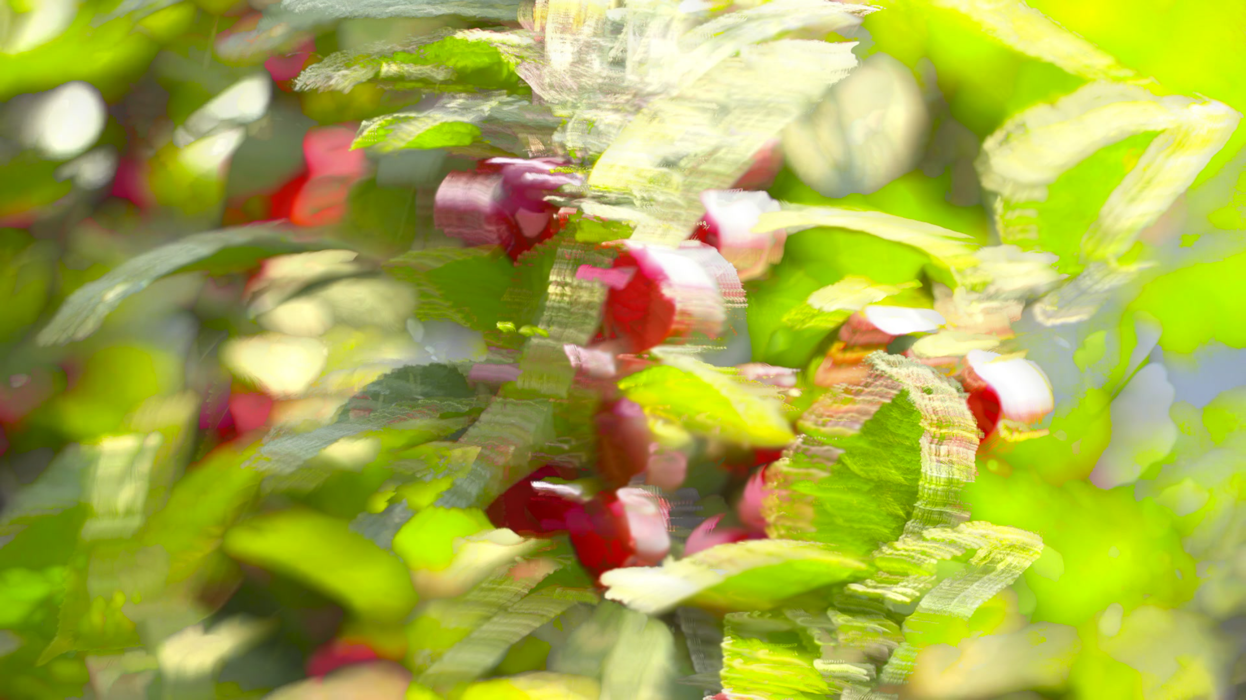 Fruiting Part