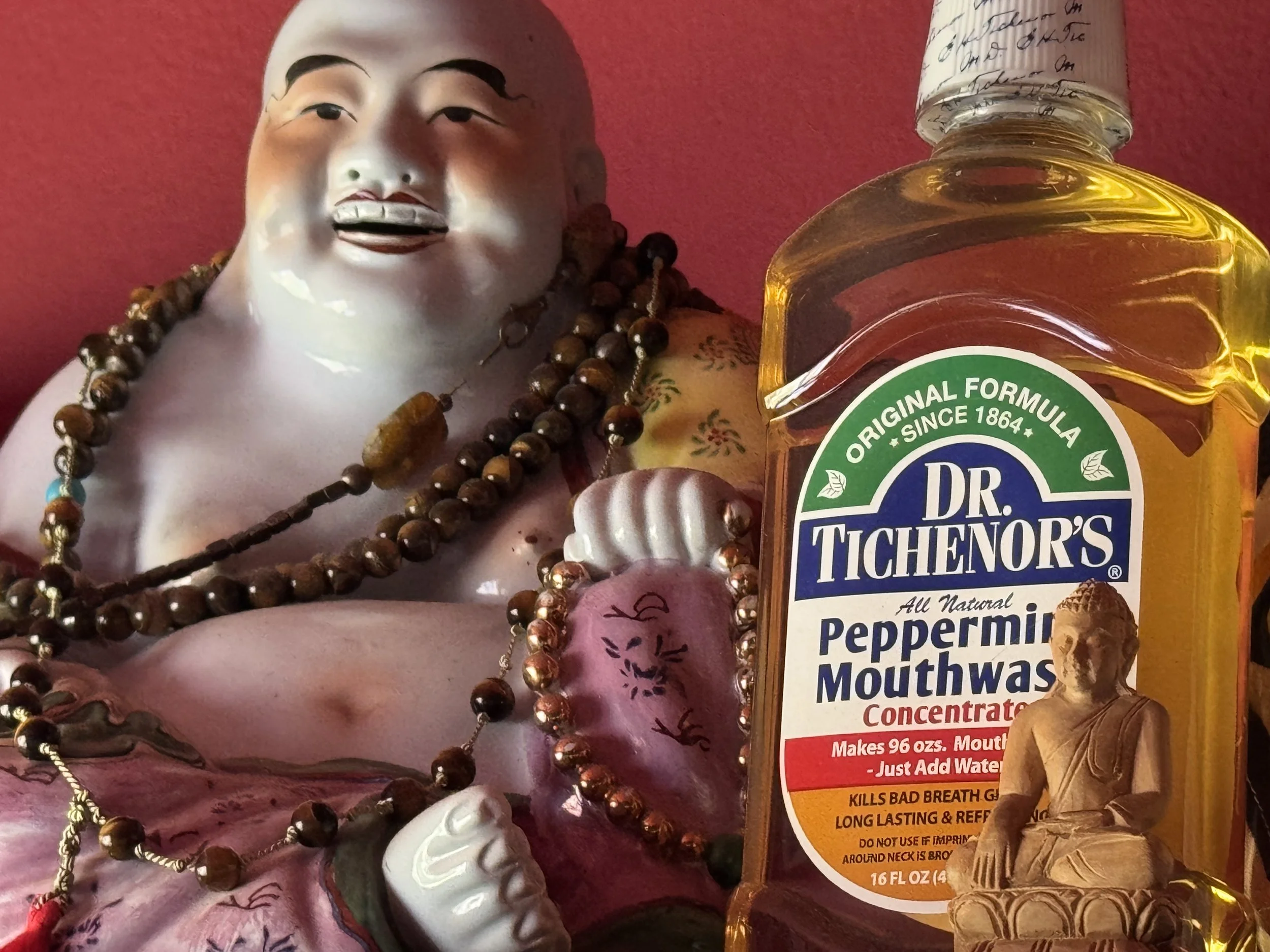 7 DR TICHENORS BUDDHA.jpeg