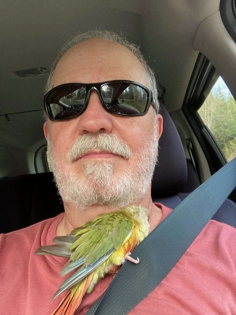 Mike Baby parrot 2.jpg