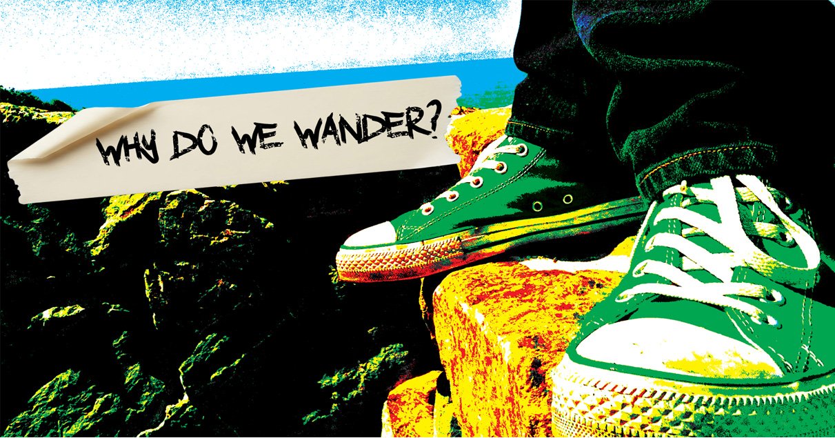 Why Do We Wander?