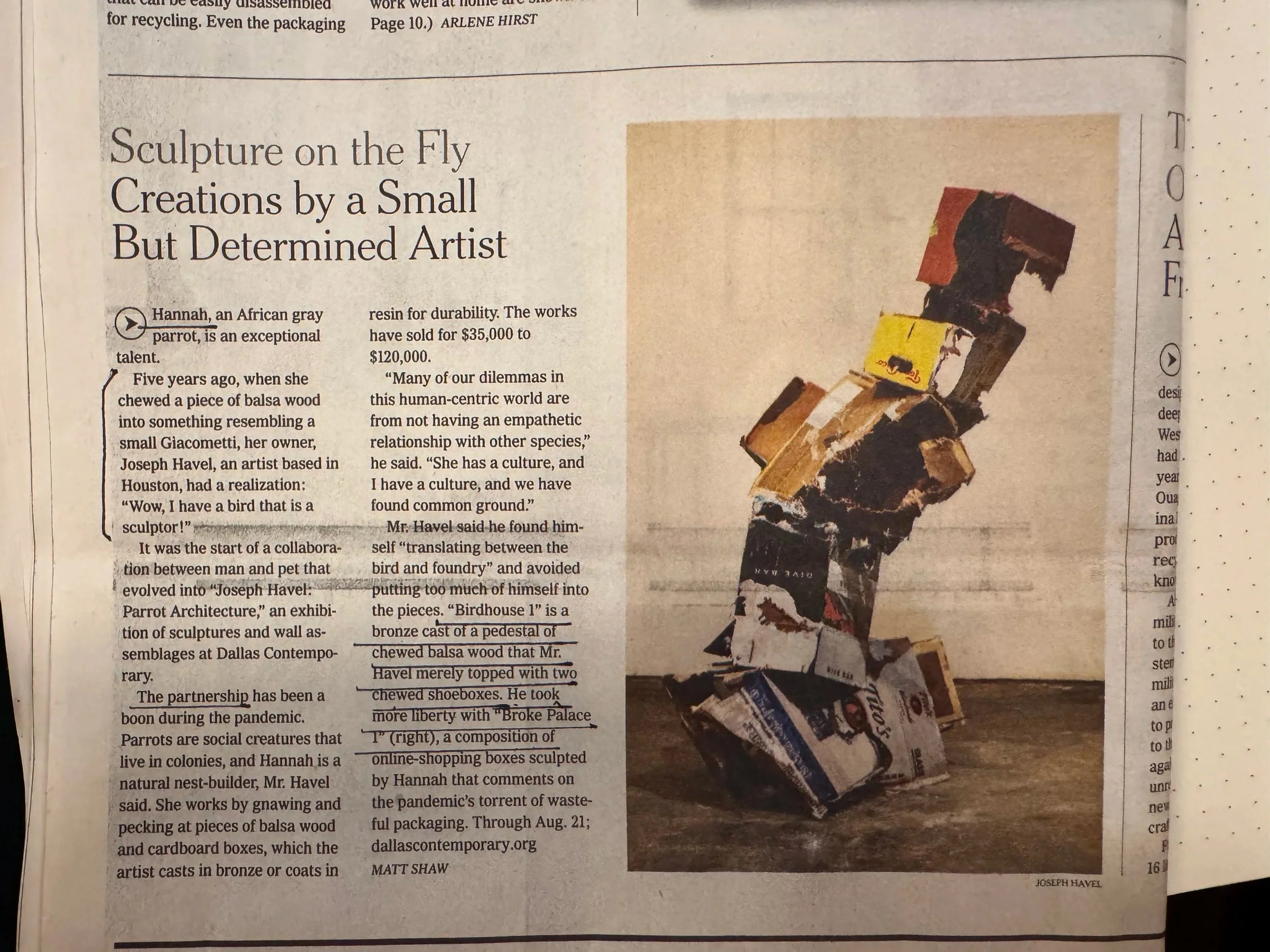 Newspaper with article "Sculpture on the Fly" with image of Havels sculpture